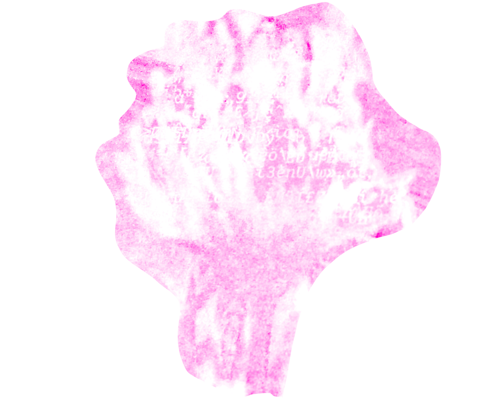 thumbnail image for project Flowers in Riso