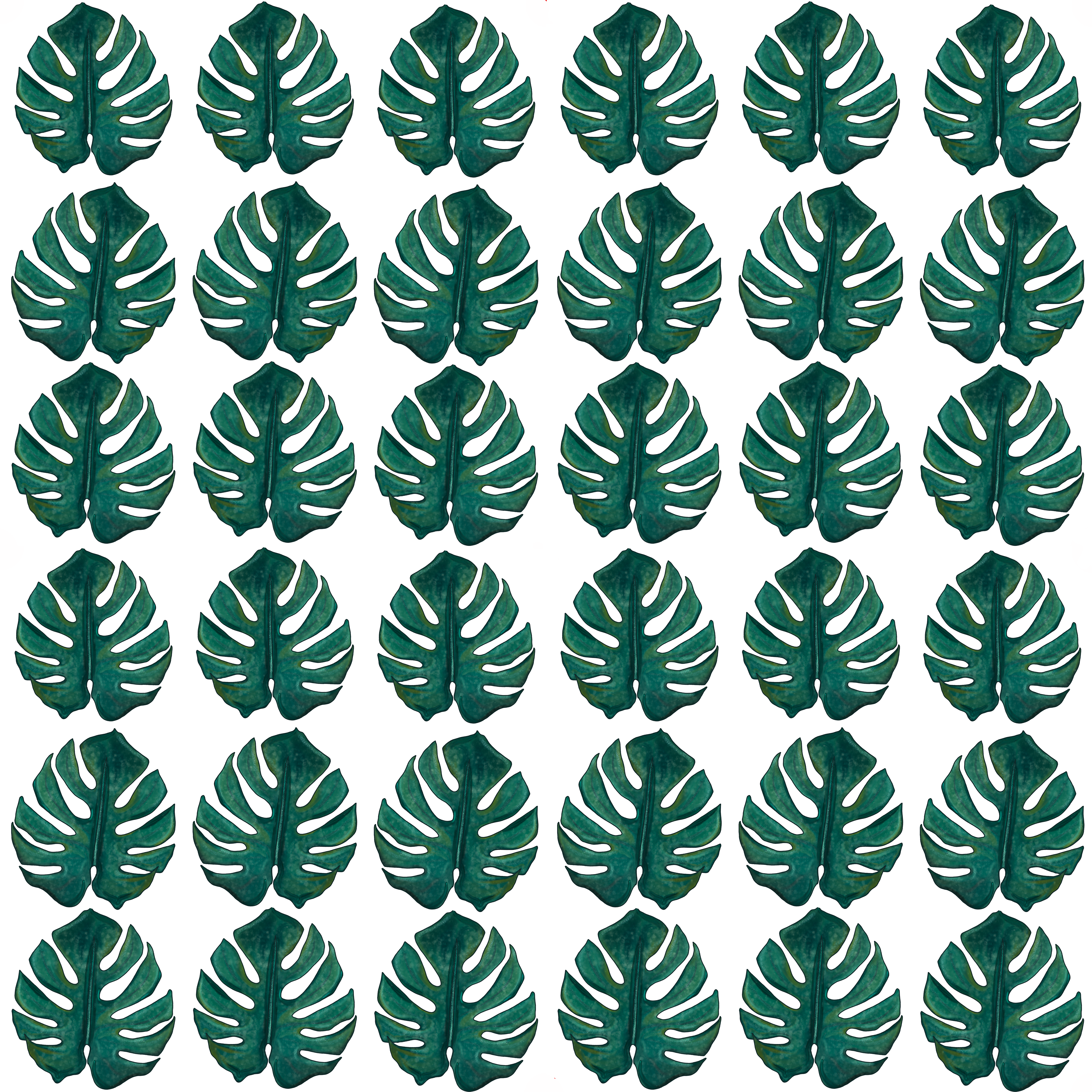 Hawaiian Monstera Leaves