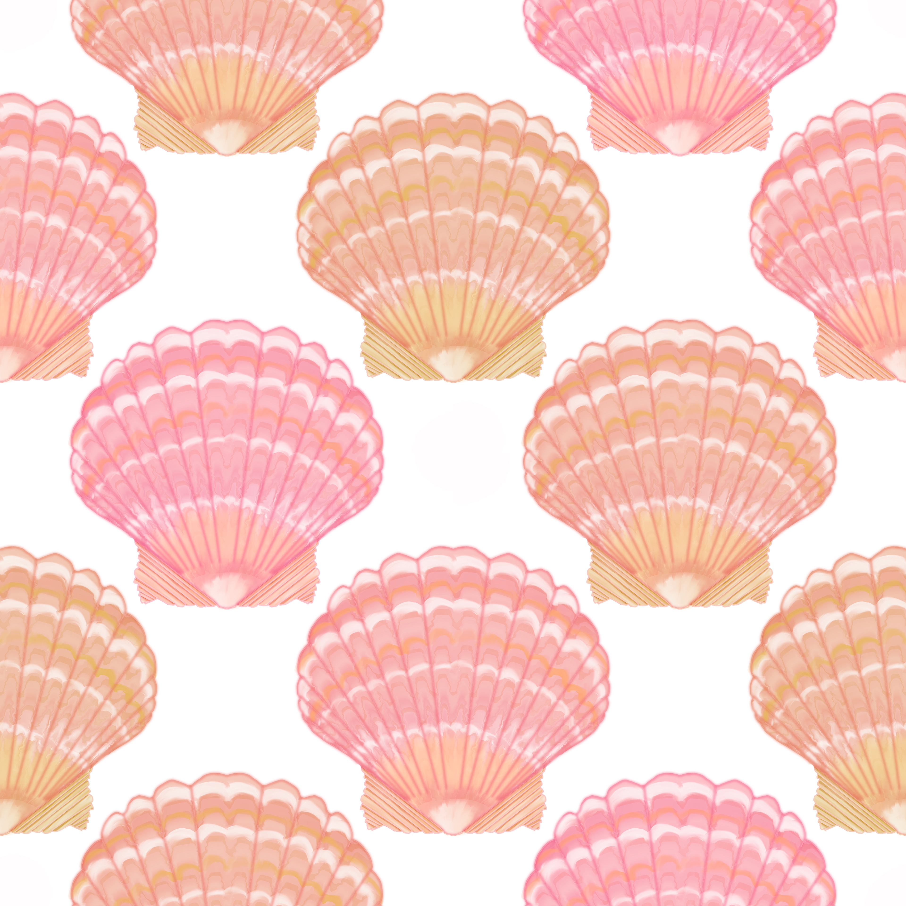 Hawaiian Sunrise Shells