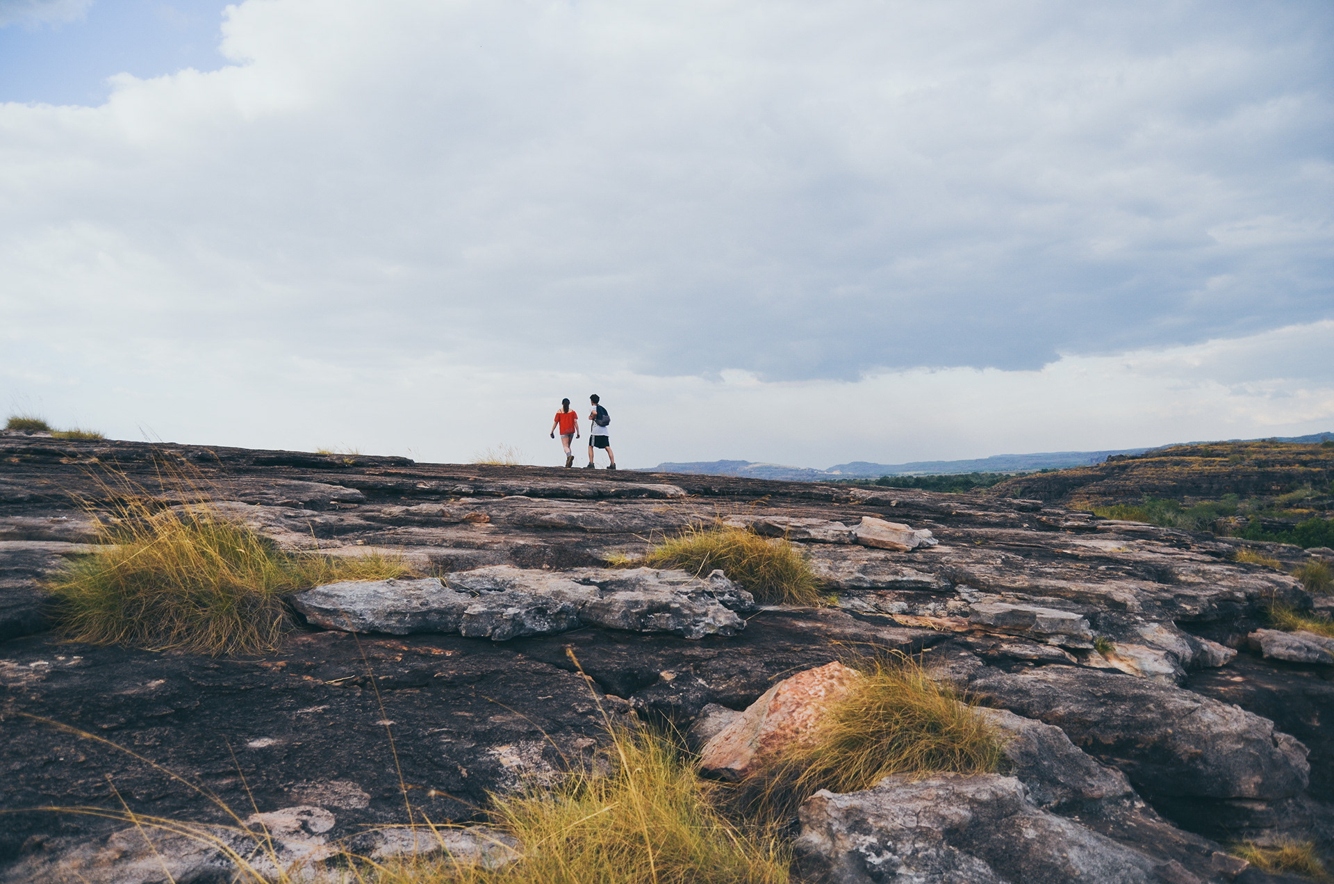 Kakadu