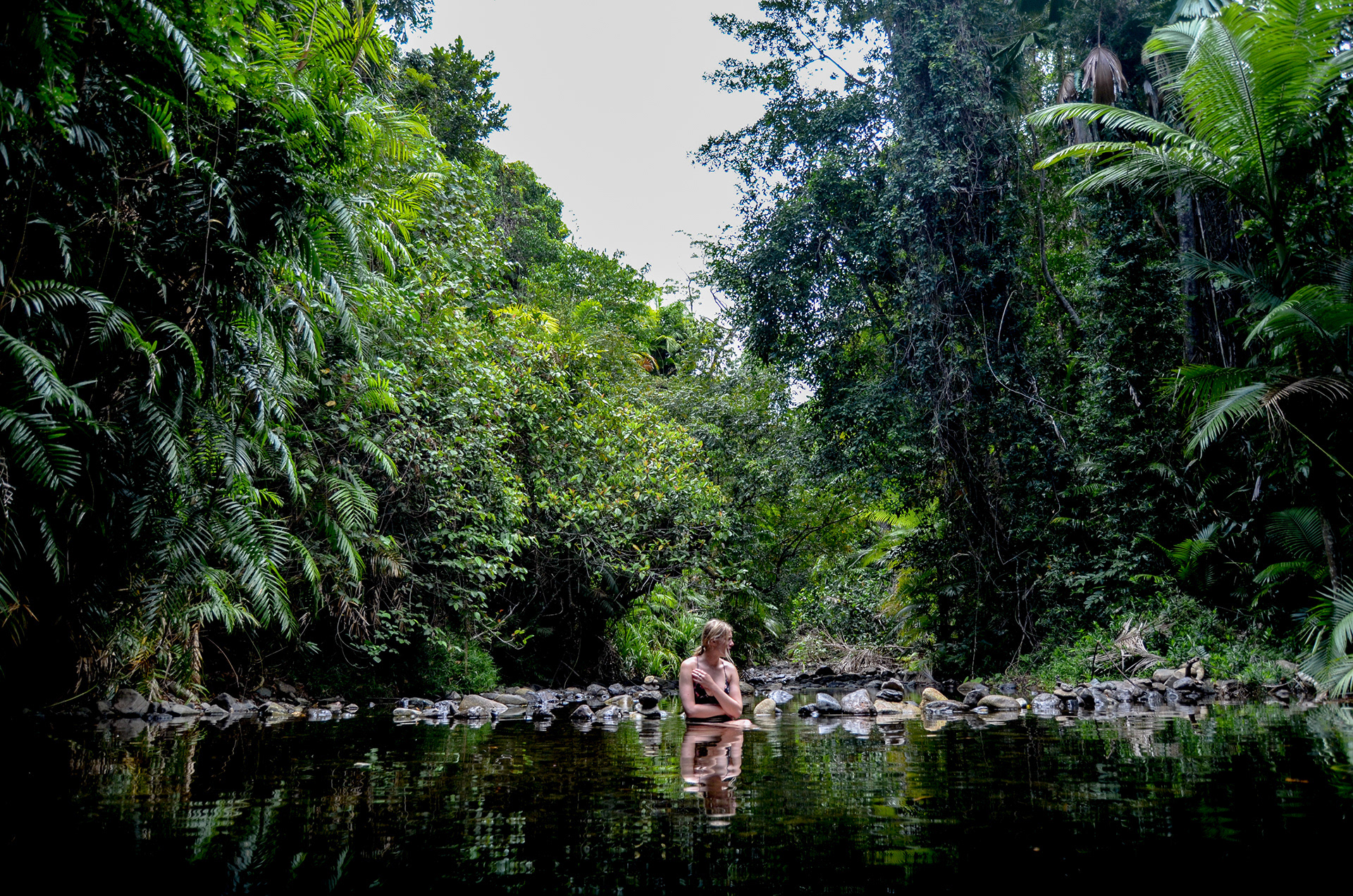 Daintree Rainforest