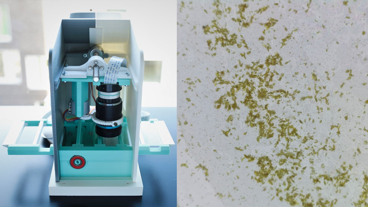 Left: Prototype manufactured with 3D printing. Right: Schistosome eggs captured using this setup.