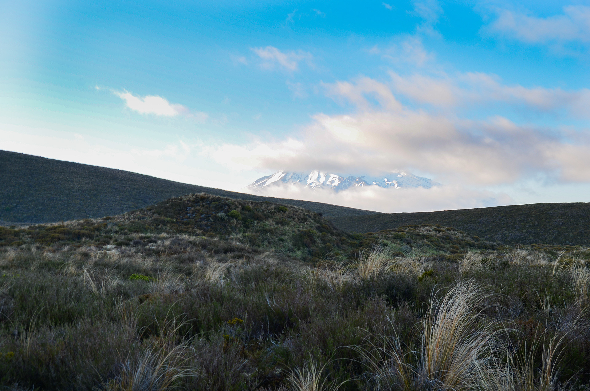 Tongariro