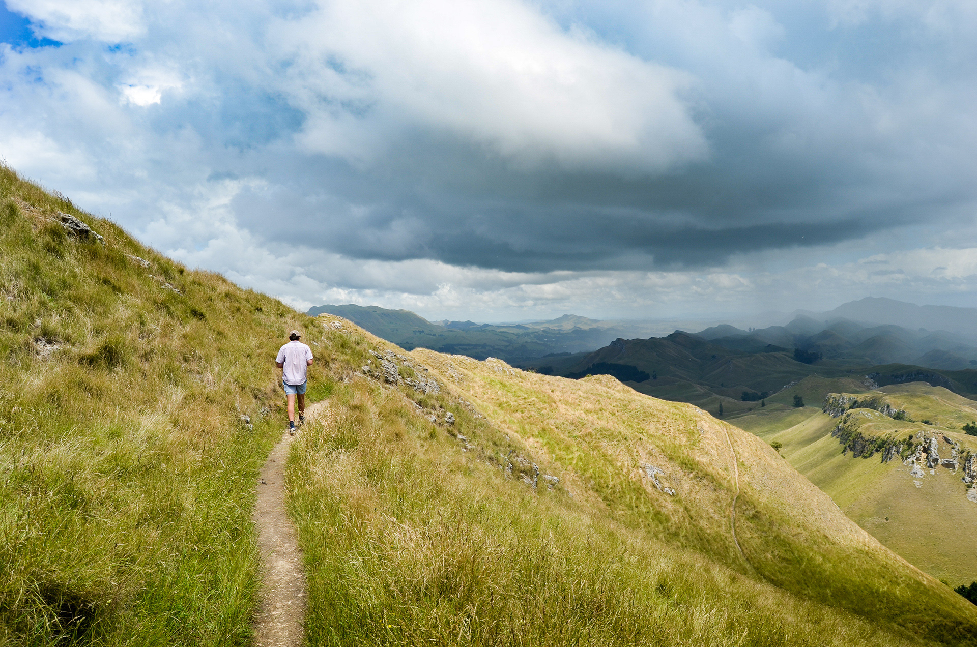 Te Mata Peak, Hawke's Bay