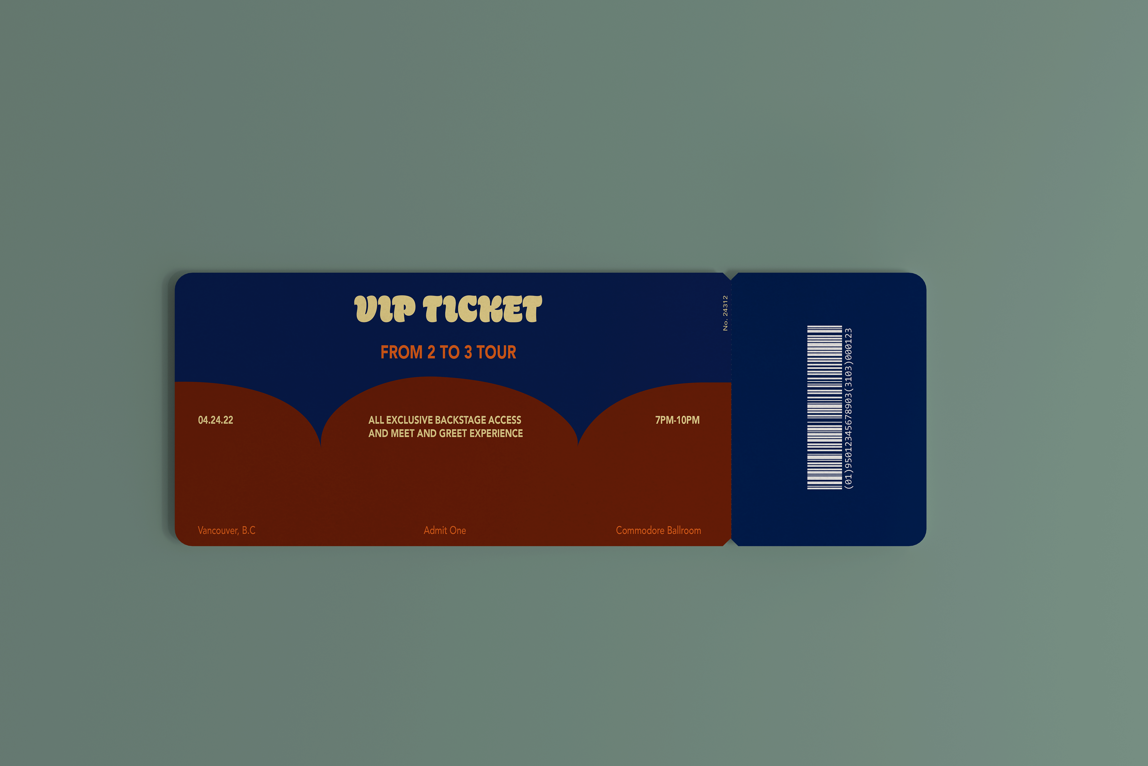 VIP Ticket 2 Back