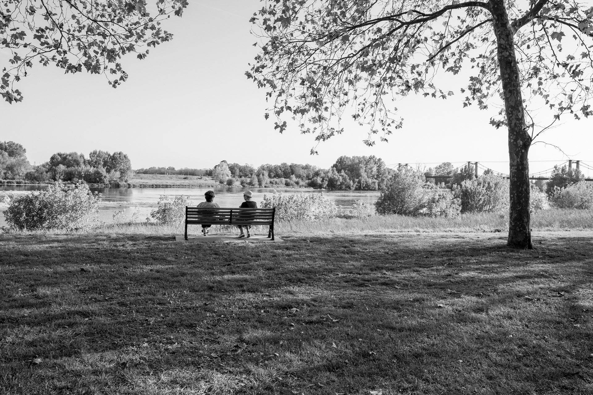 Paysage