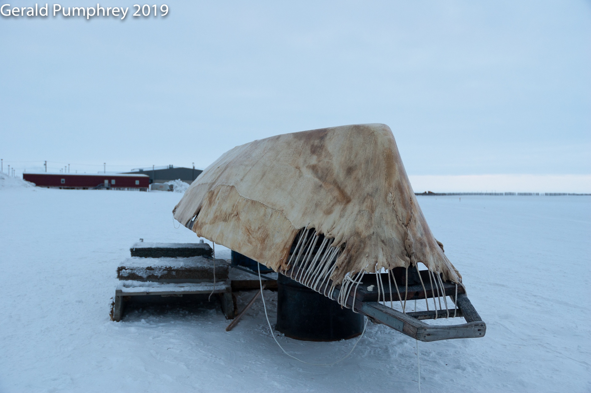 Whaling Umiak, Barrow, Alaska