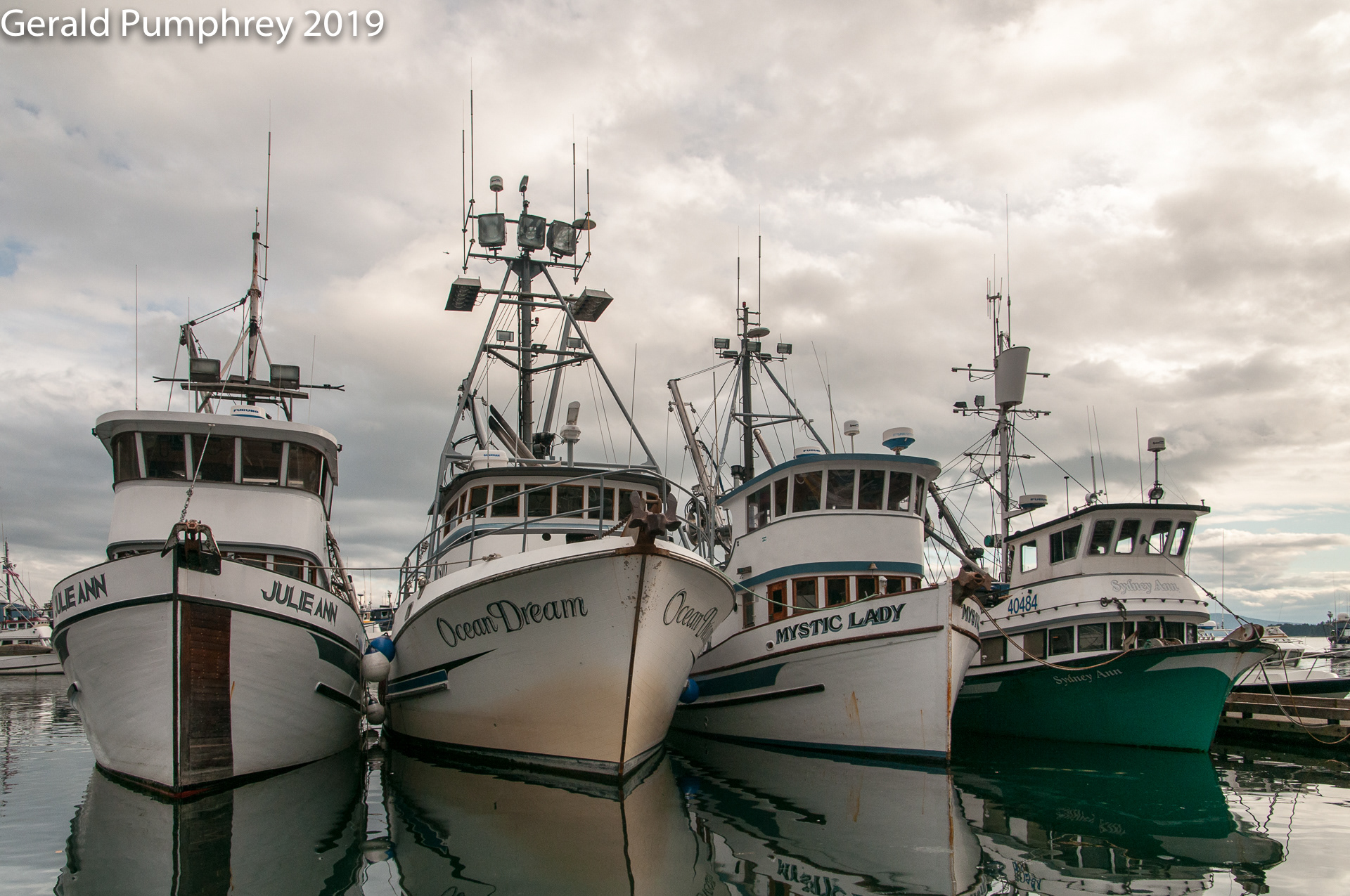 Purse Seiners, Juneau, Alaska
