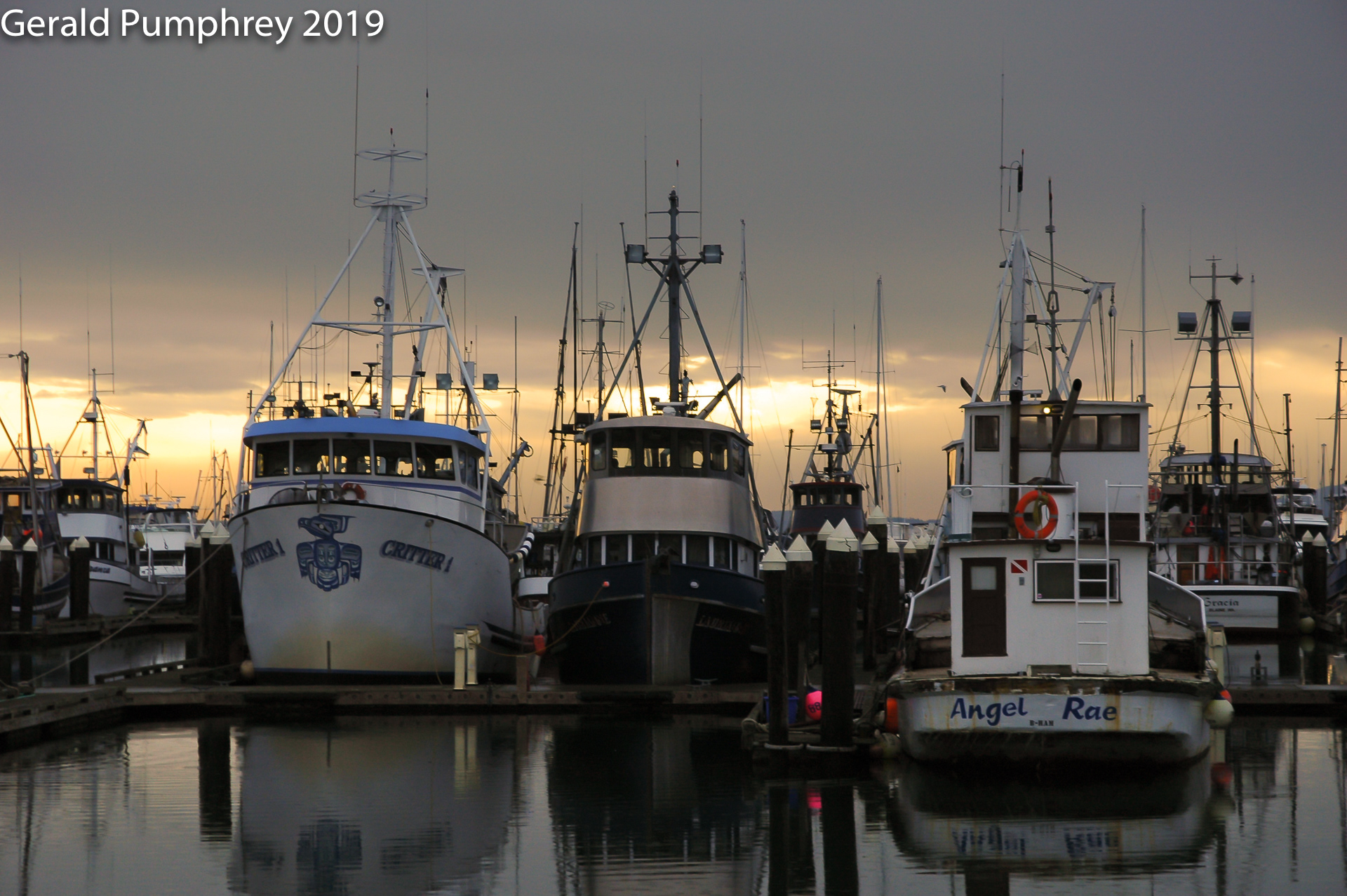 Fishing Fleet, Bellingham, WA