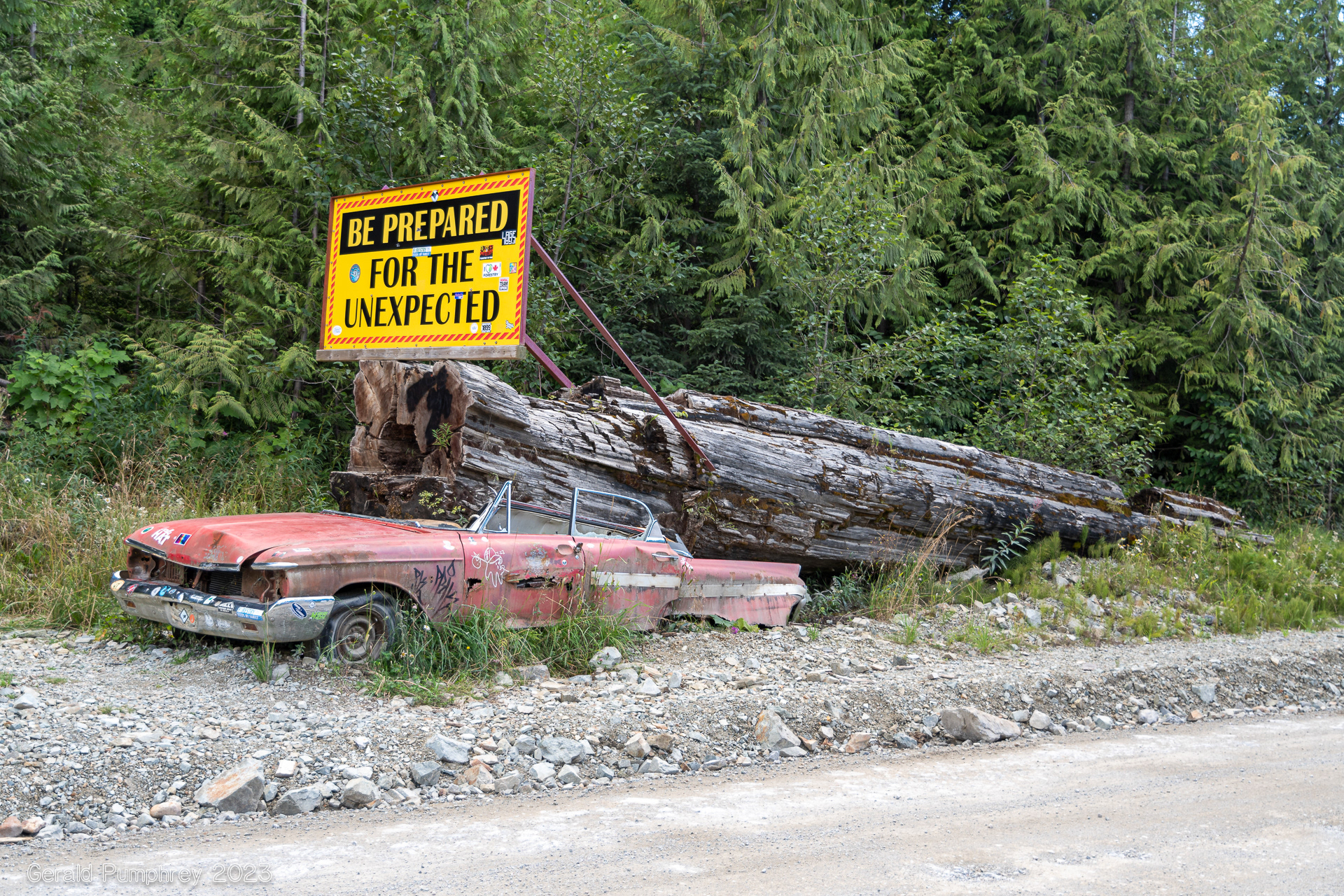Road to Cape Scott, Vancouver Island