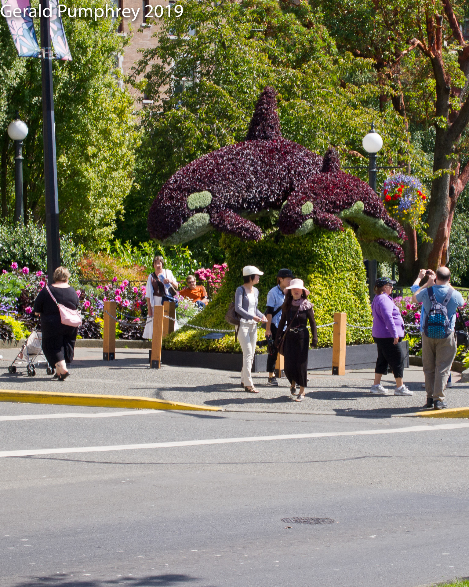 Orca Topiary, Victoria, British Columbia