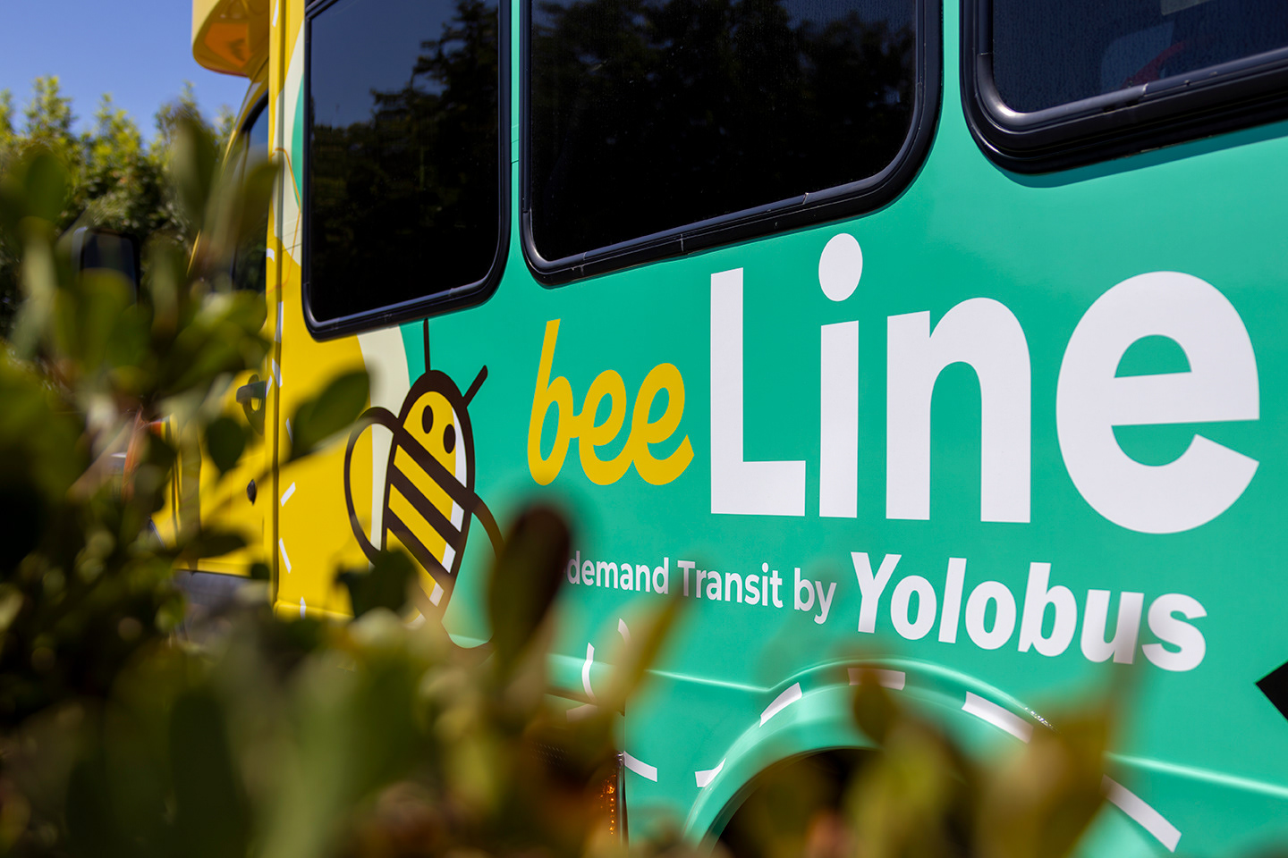 Marketing photo for BeeLine