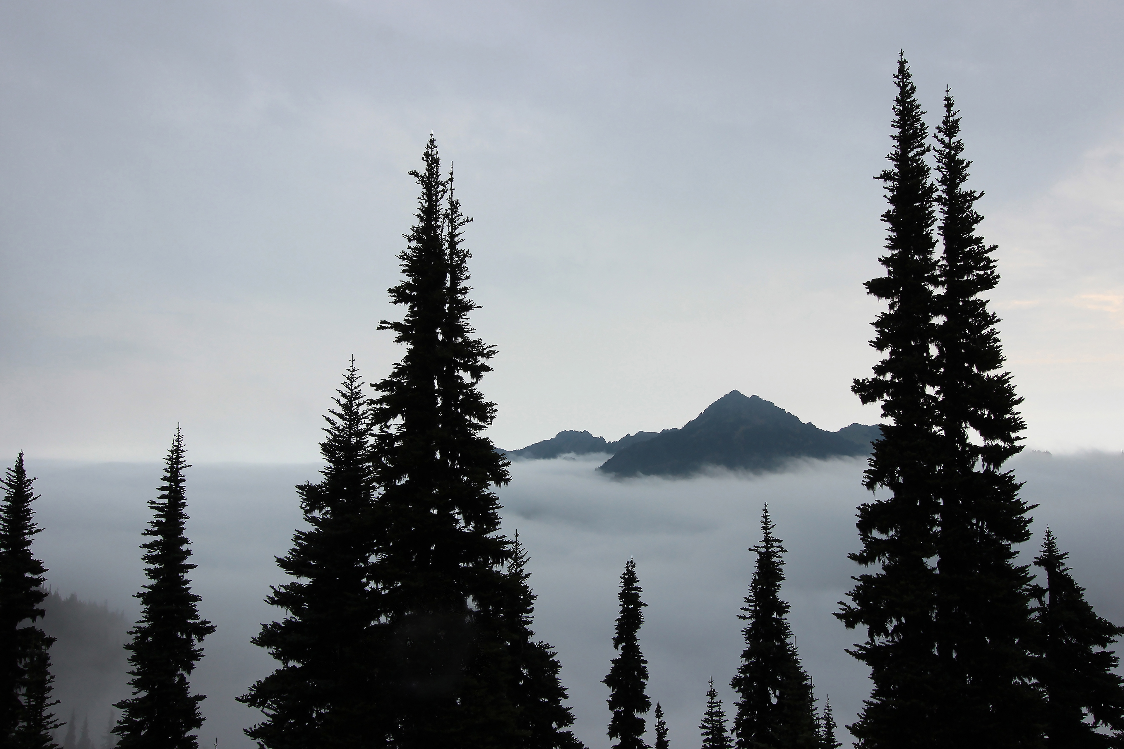 Olympic National Park, WA (2015).