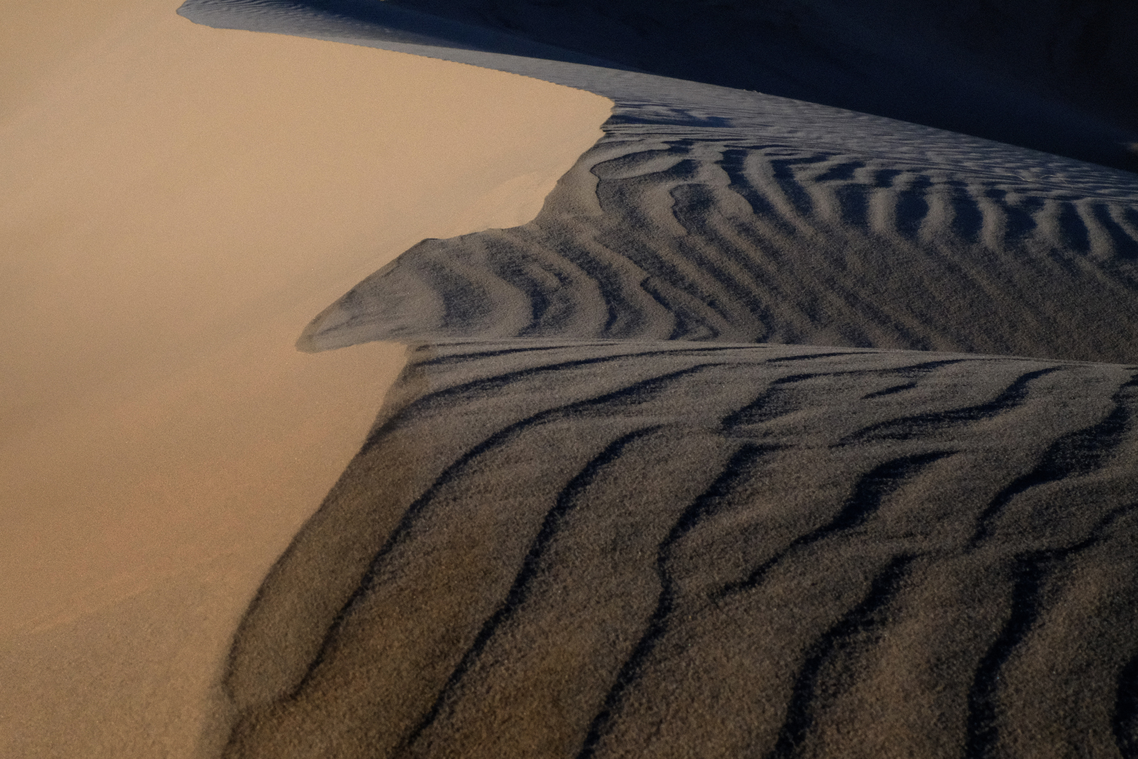 Mojave National Preserve, CA (2019).