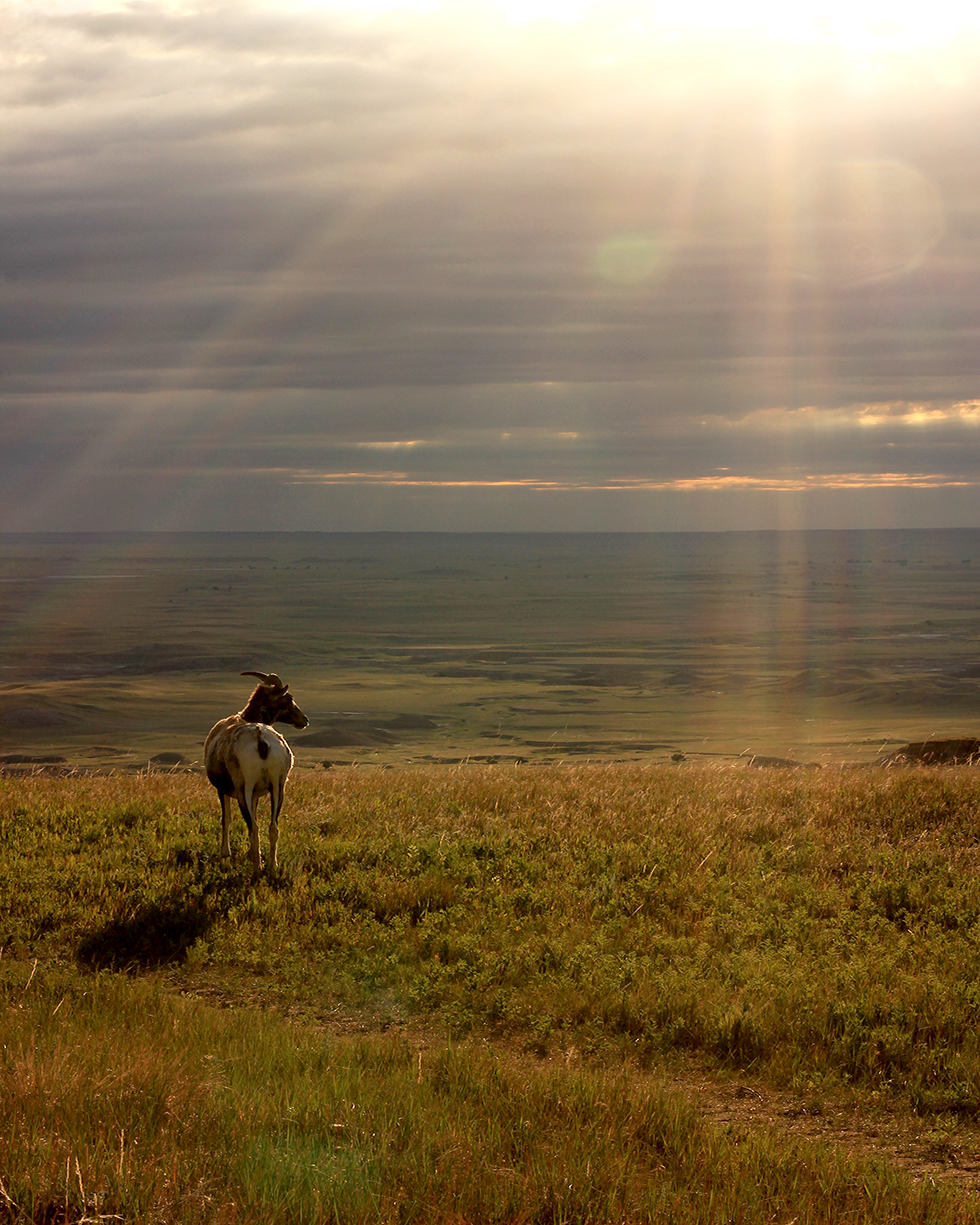 Badlands National Park, SD (2017).