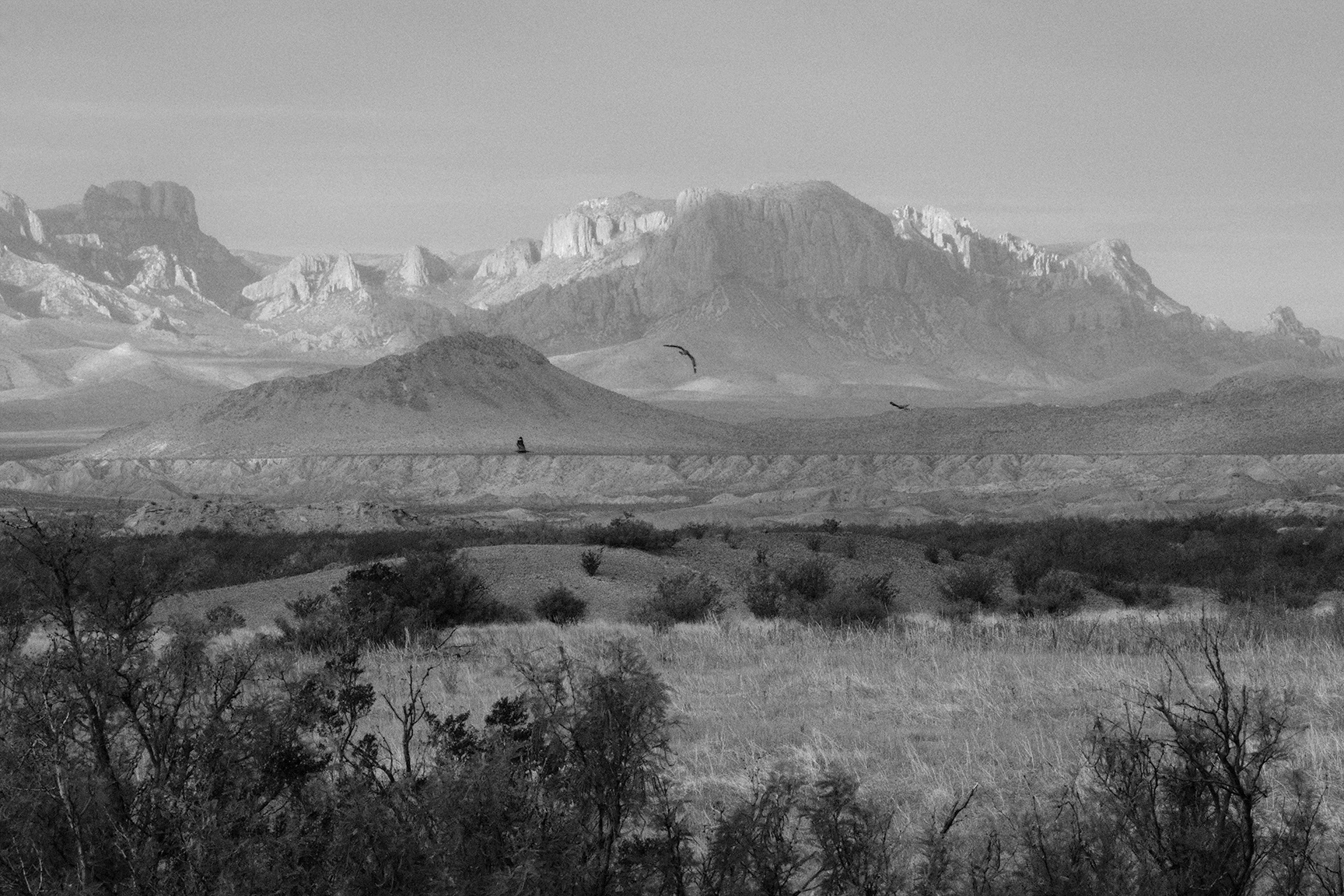 Big Bend National Park, TX (2021).