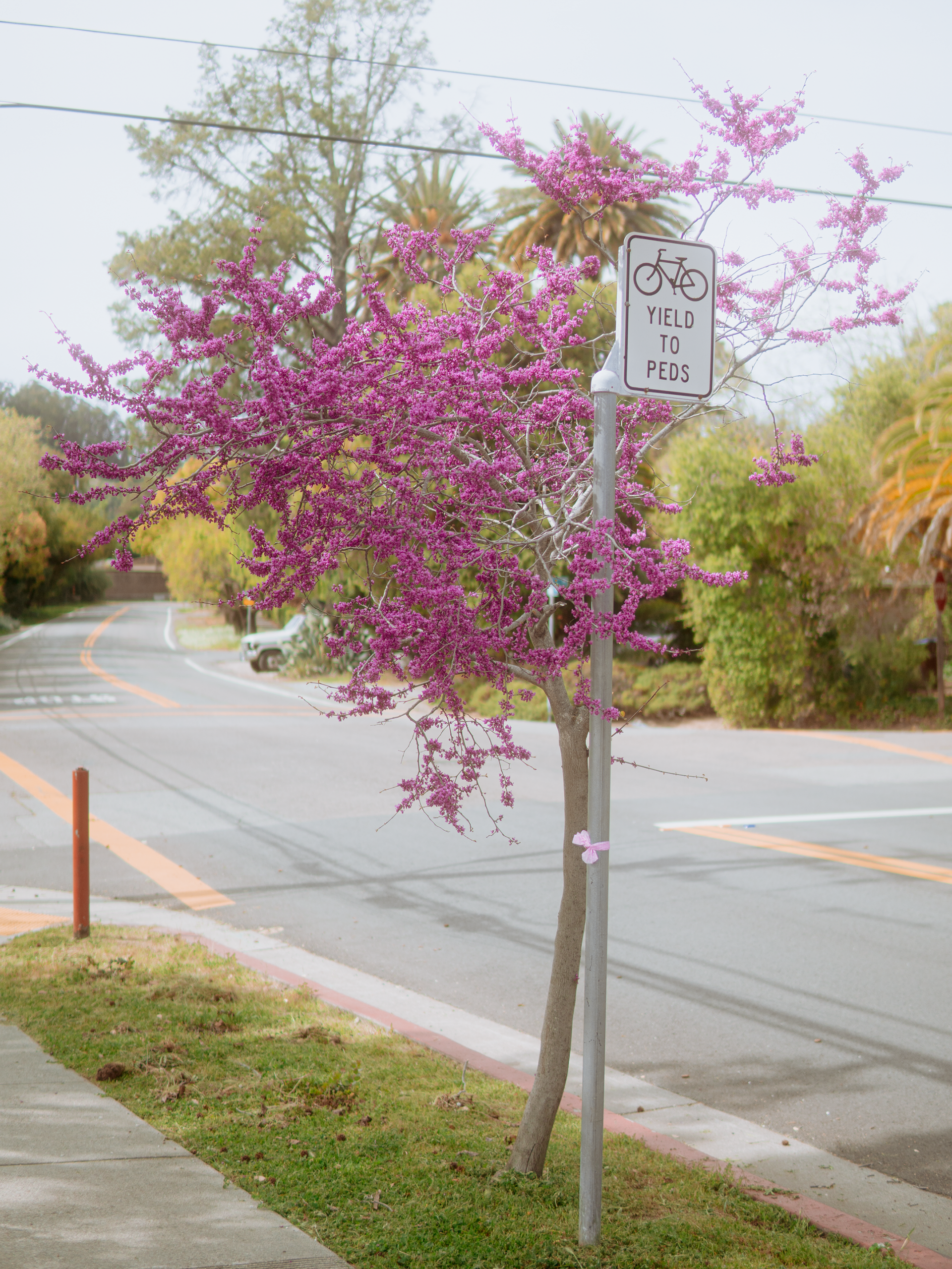 moment from a walk