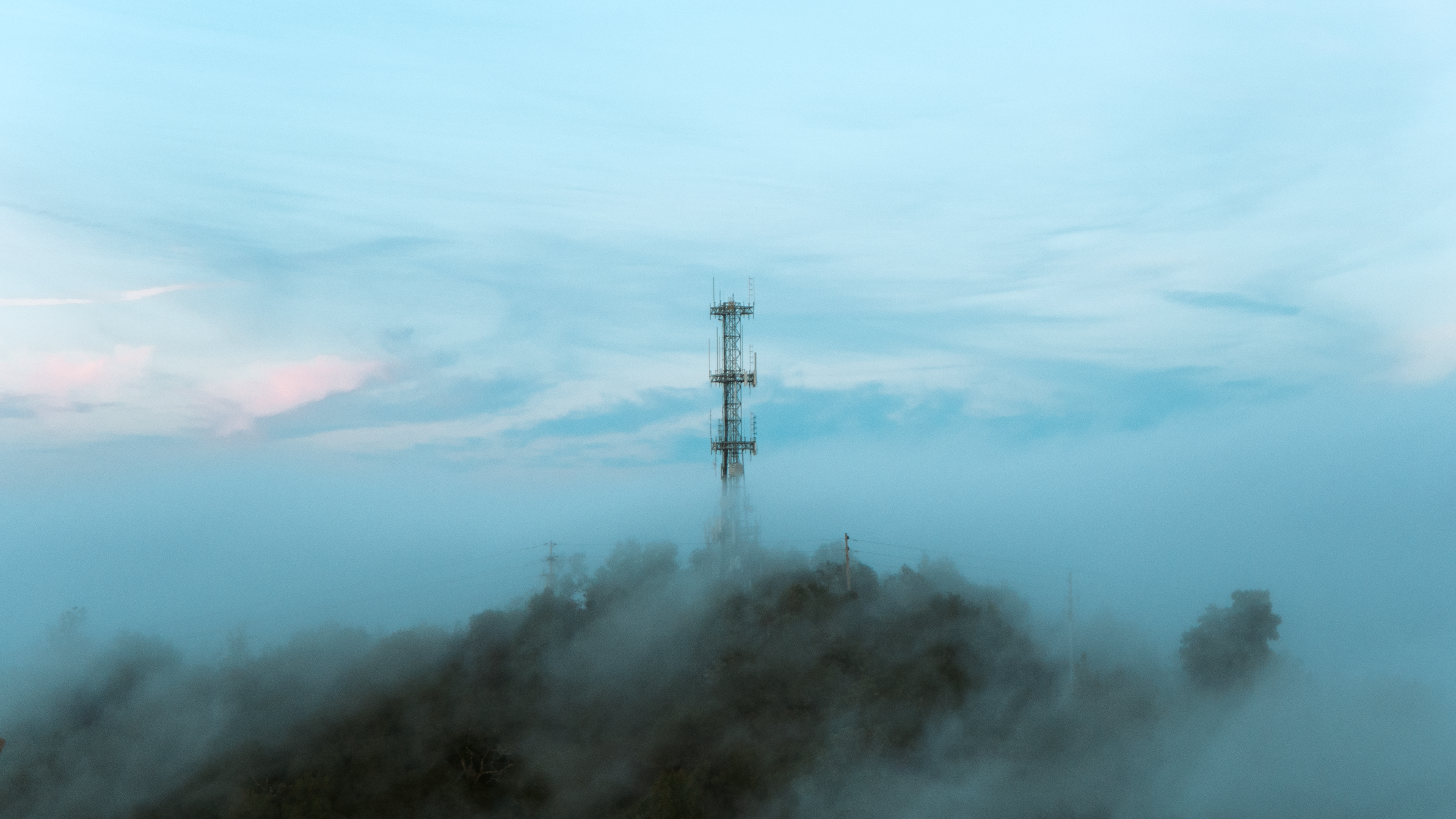 the slow regard of silent things