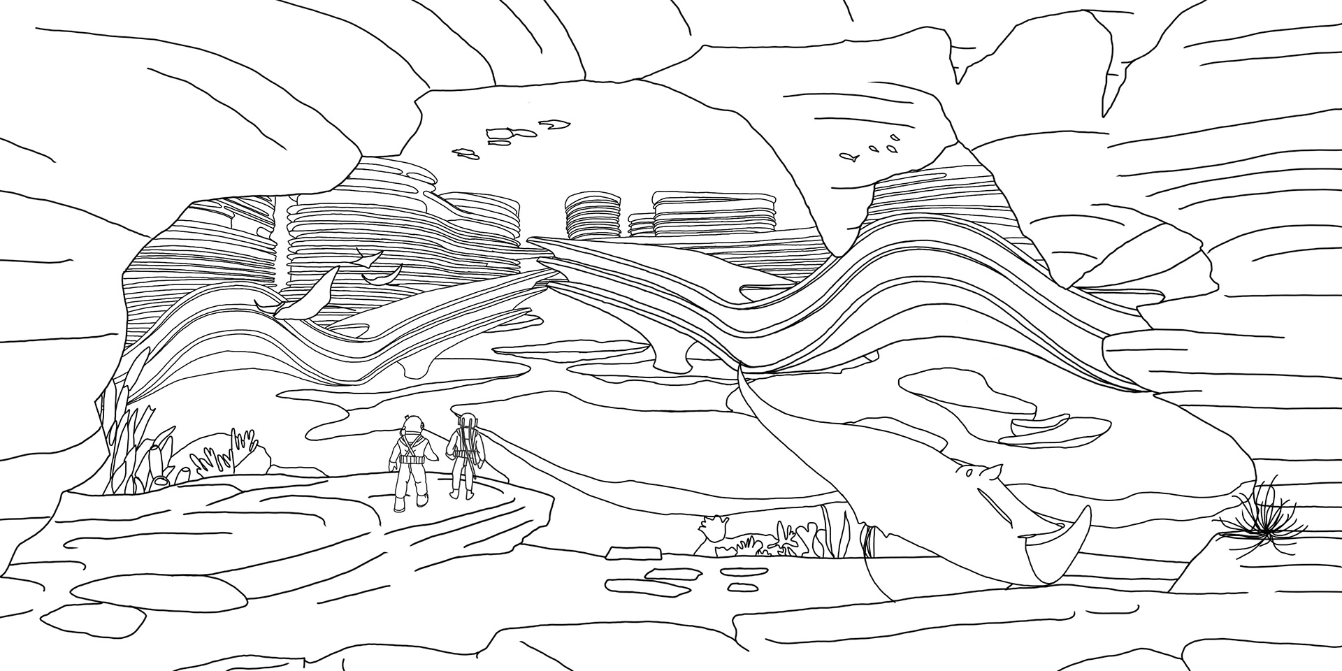 Comp Sketch
