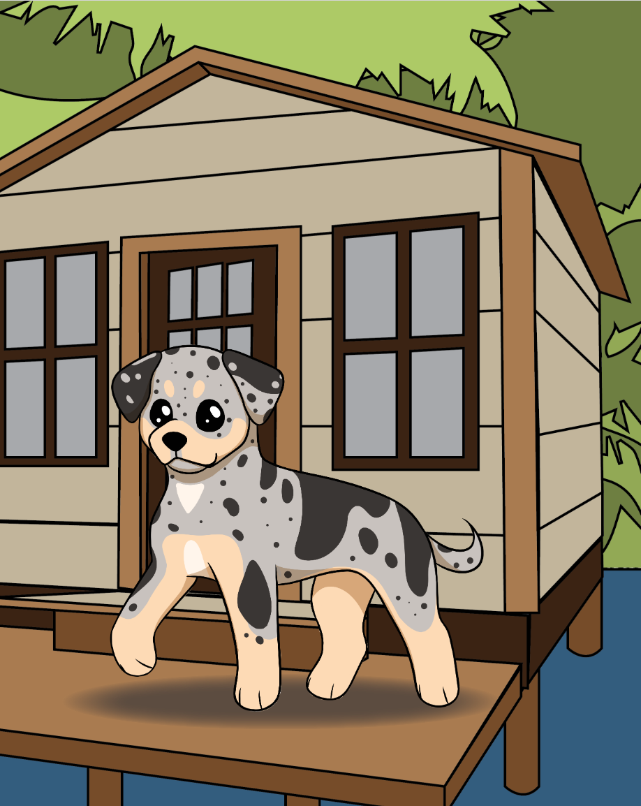 Catahoula Leopard Dog. Responsible for character asset