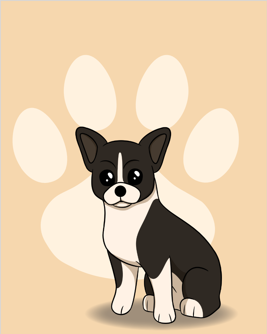 Boston Terrier. Responsible for all assets
