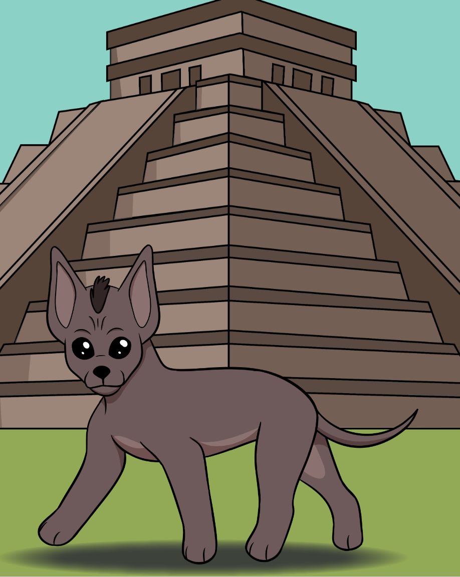 Xoloitzcuintli. Responsible for character asset