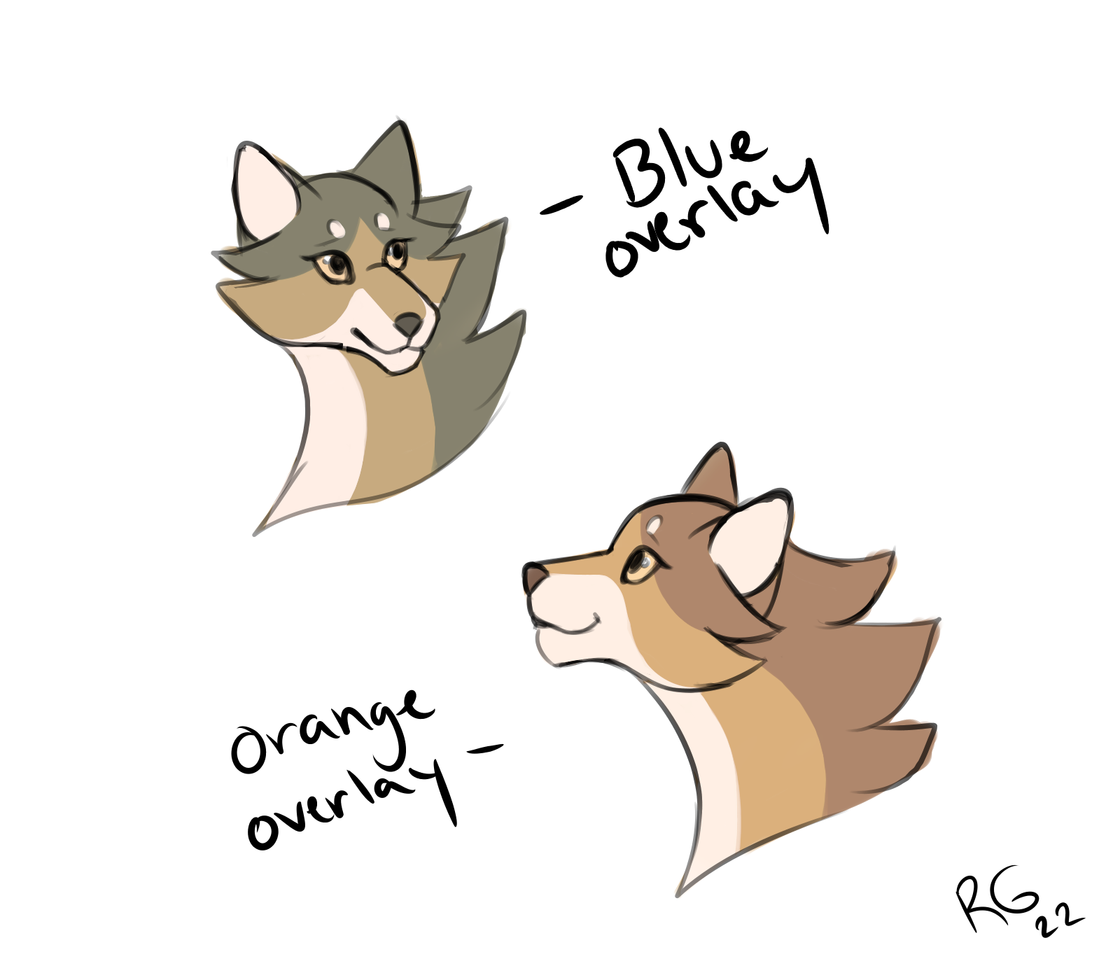 Color Overlay Concepts