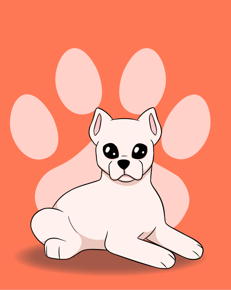 Dogo Argentino. Responsible for all assets