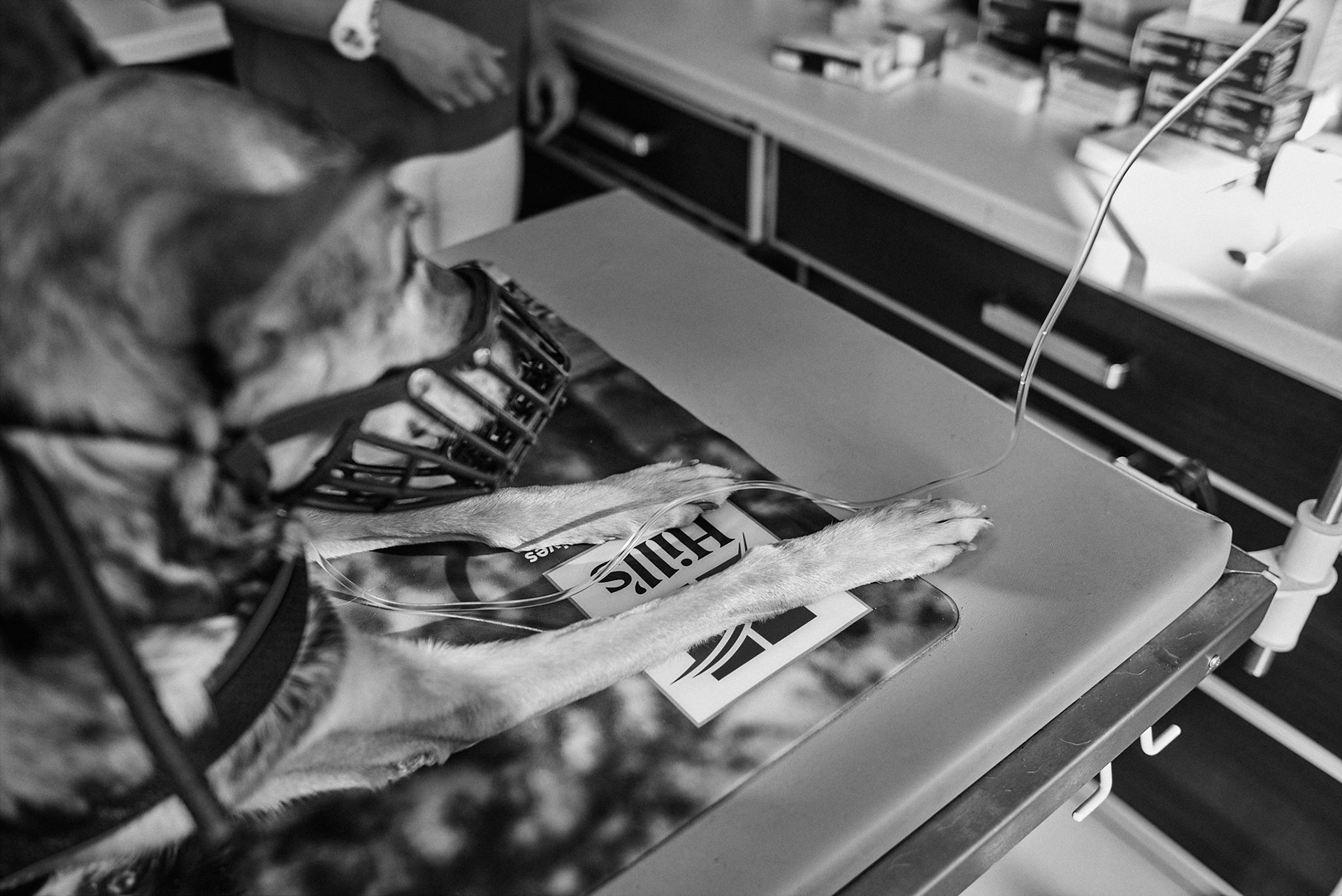 pain killers and glucose