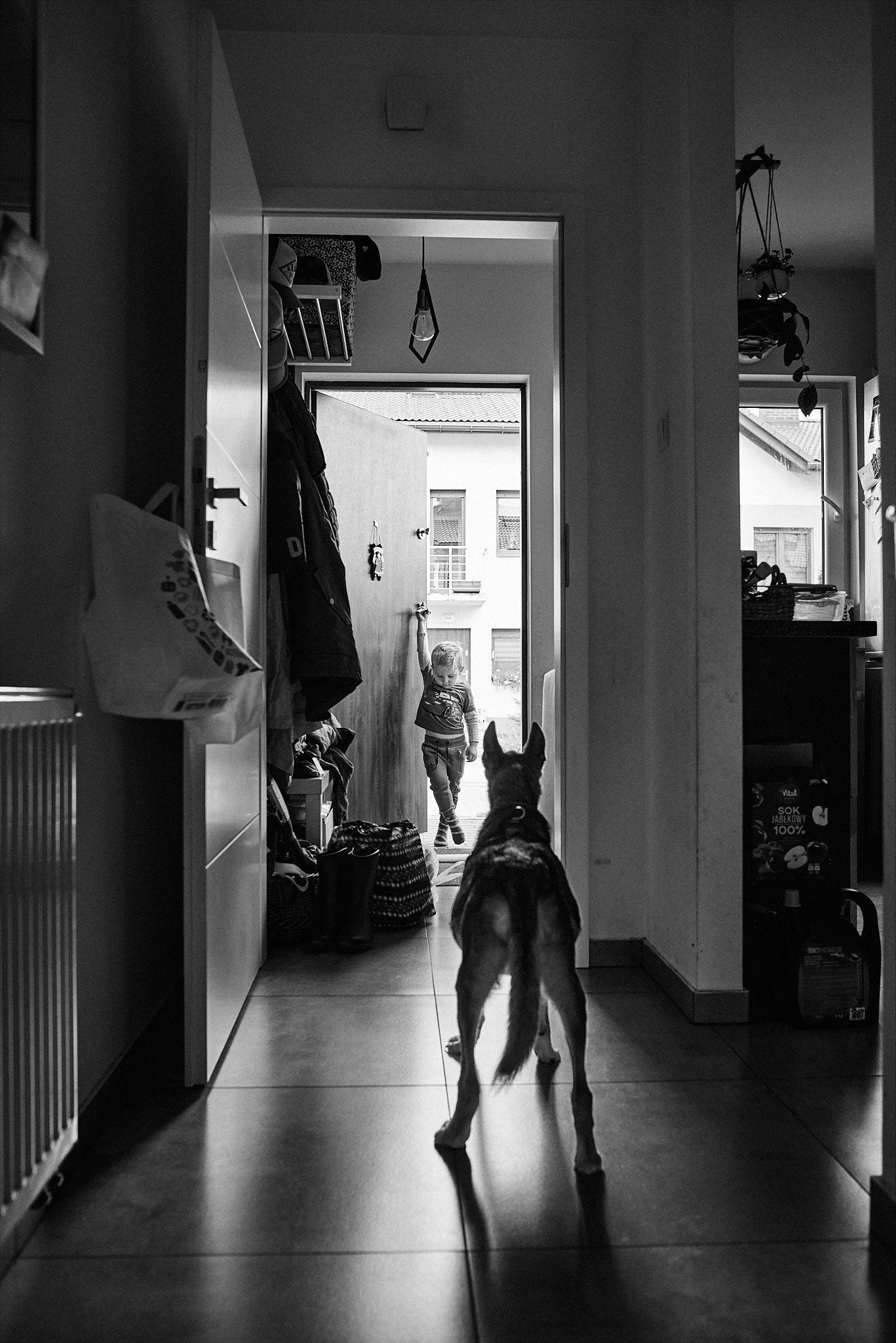 too weak to run away