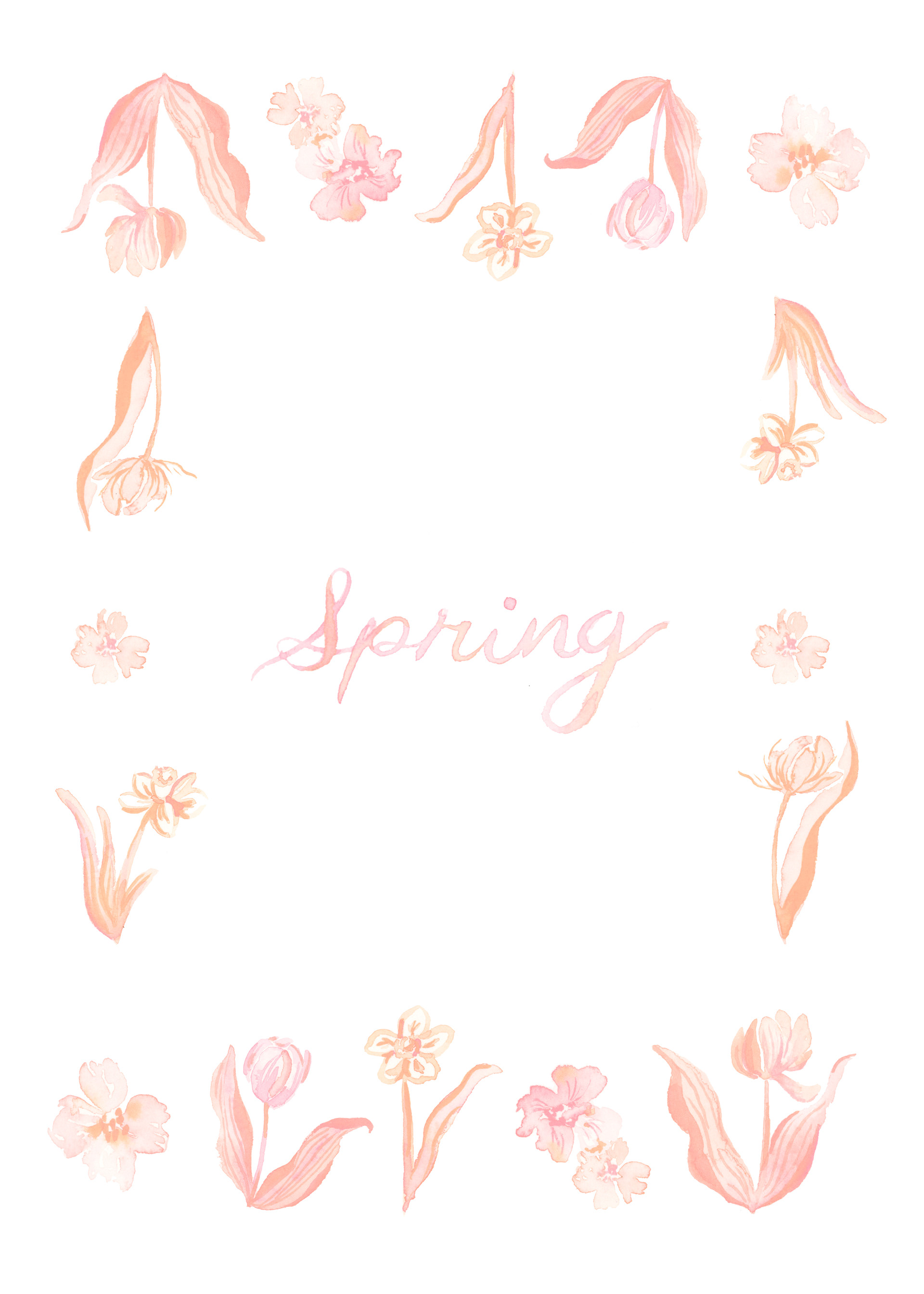 Spring Journal - MPG