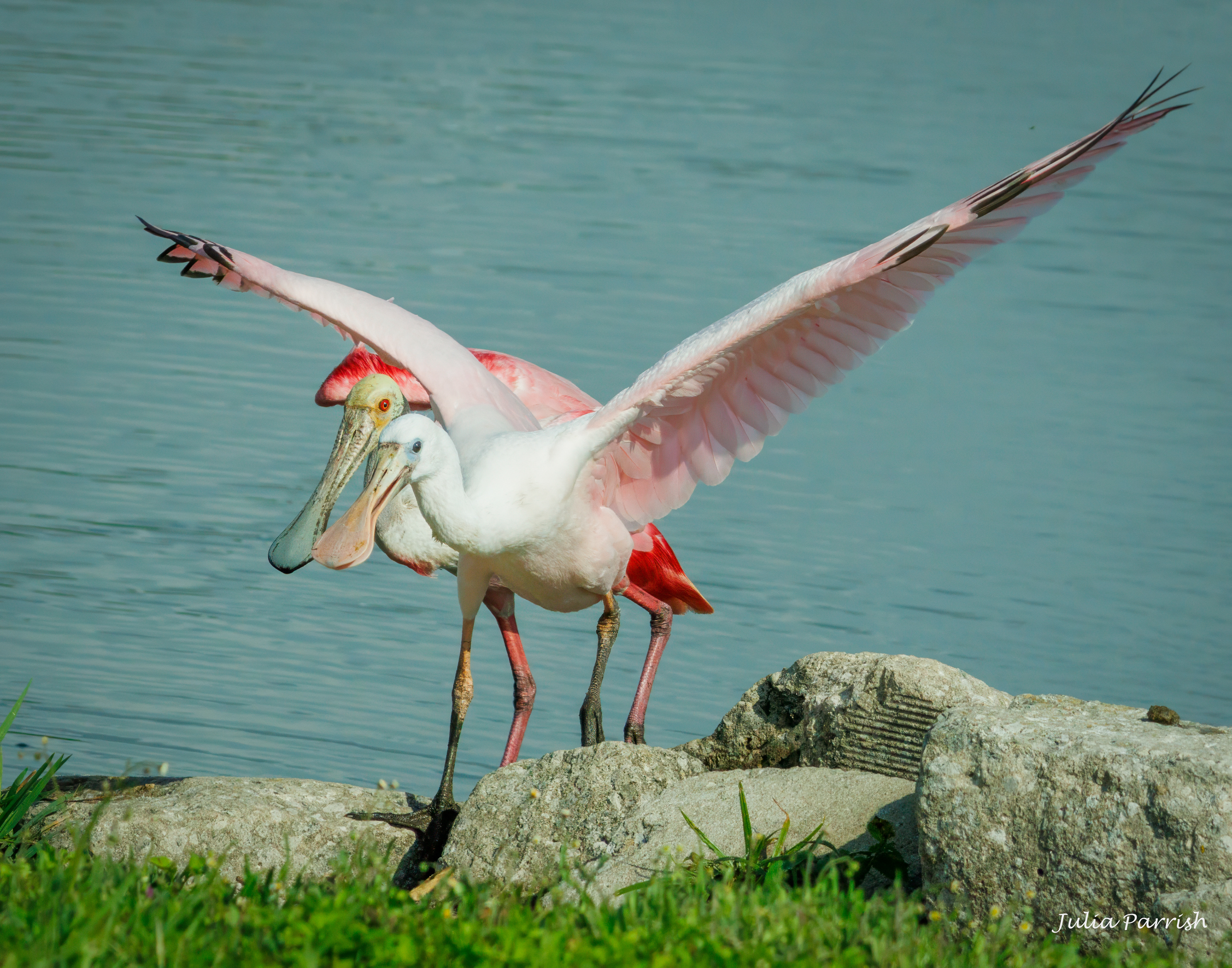 Flying Lesson