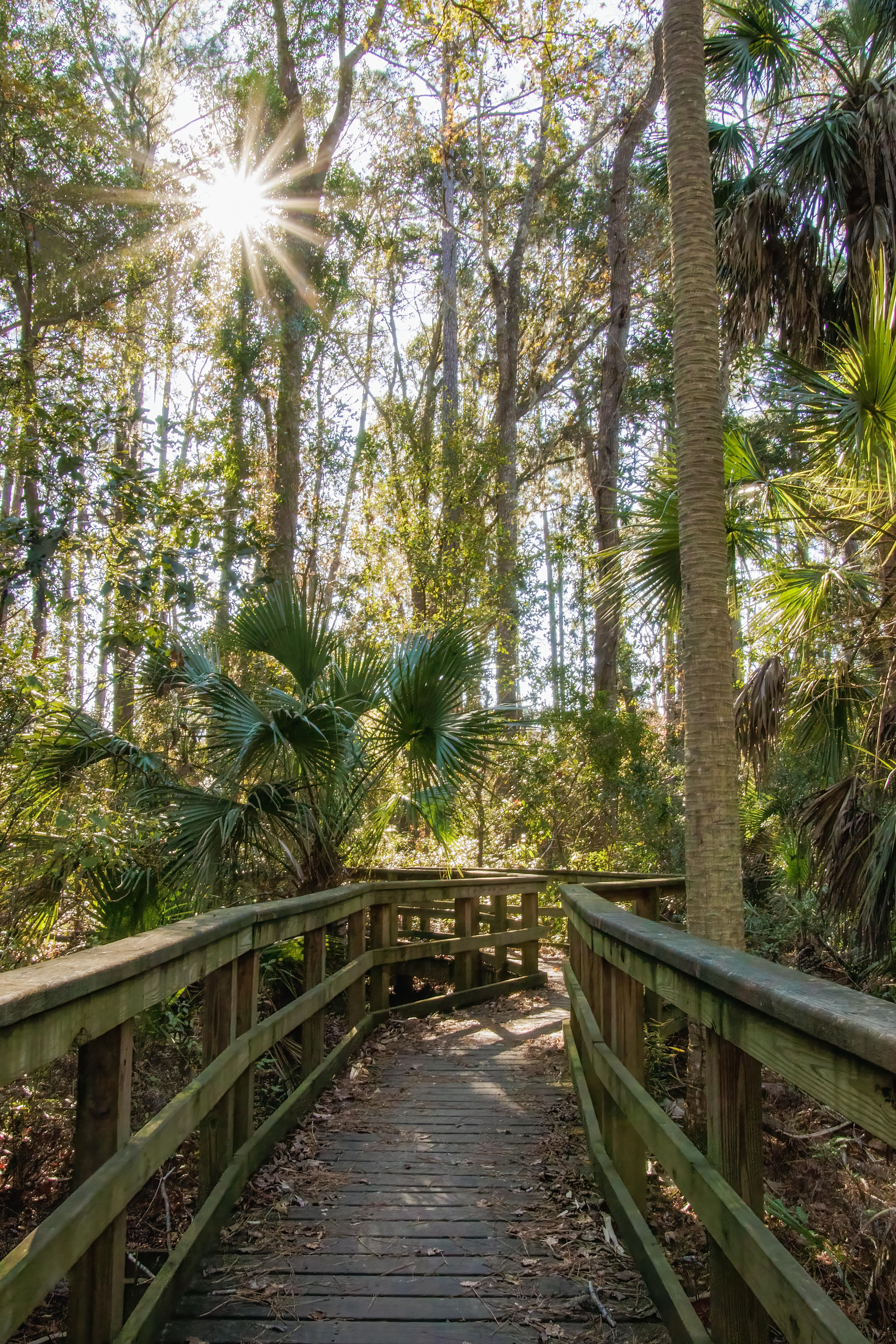 2nd Place - Boardwalks - January 2022