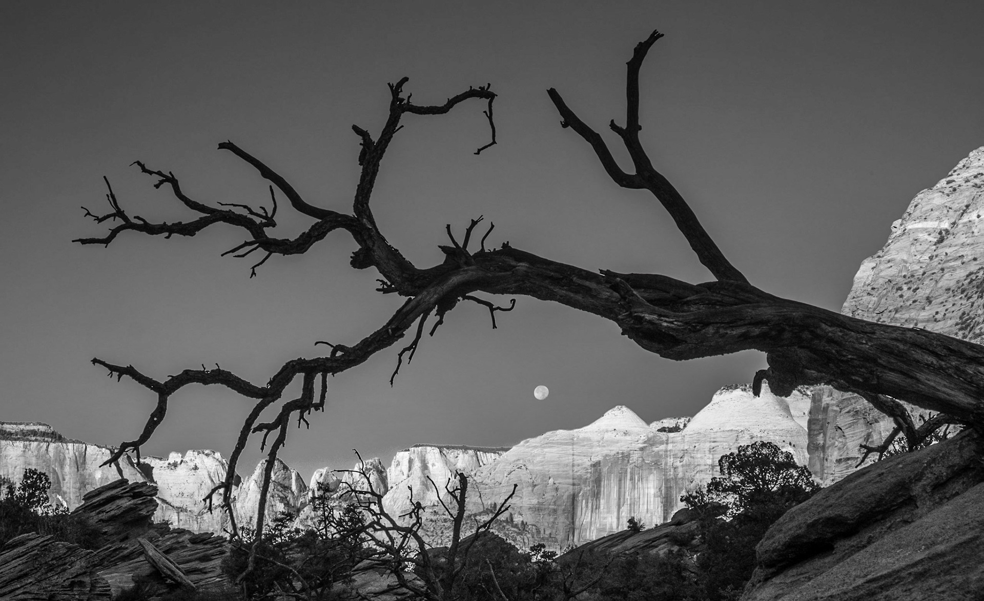 Zion National Park, Utah
