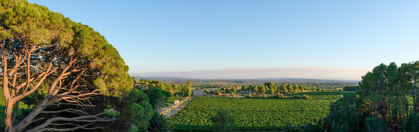Languedoc, France