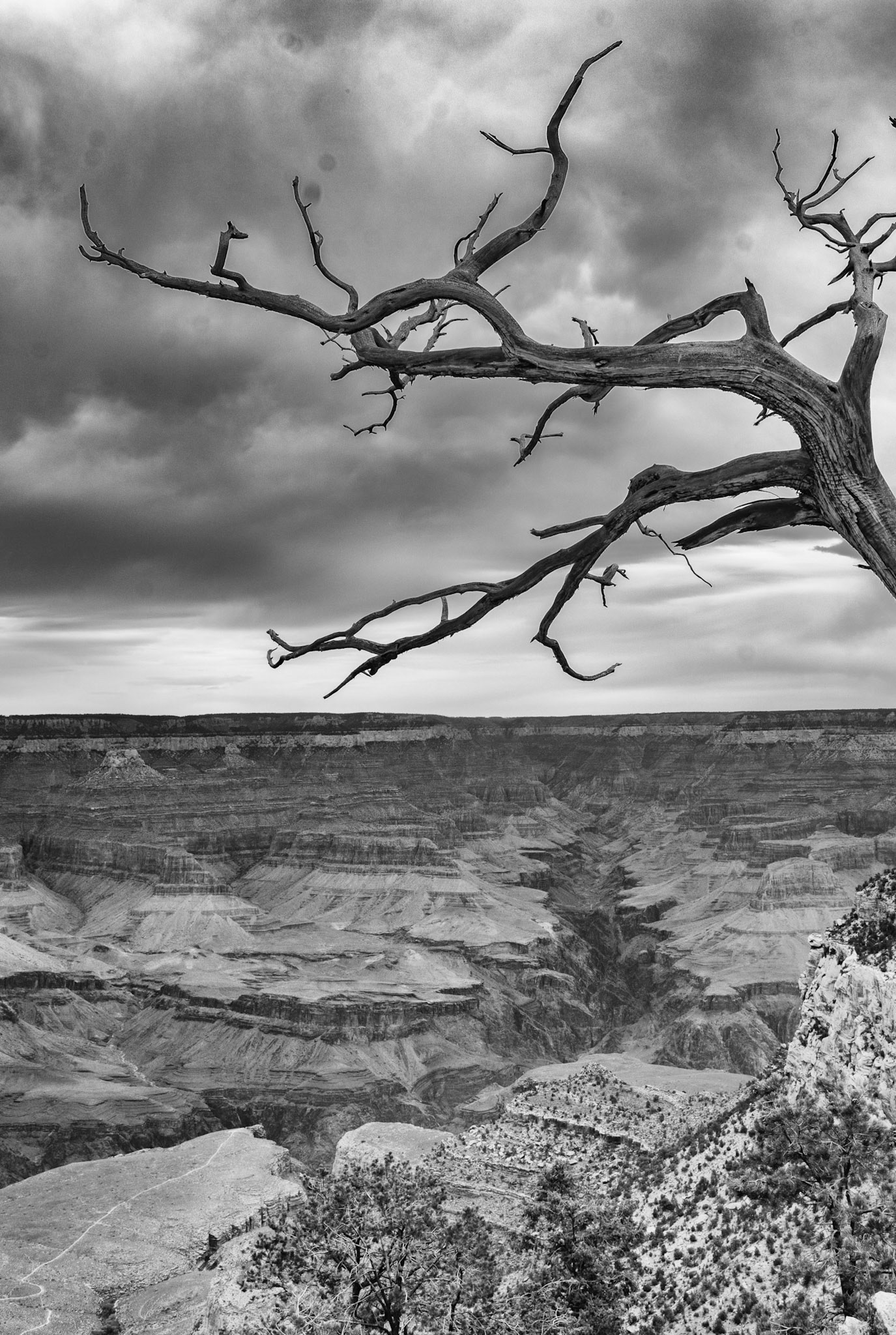 Grand Canyon National Park, Arizona