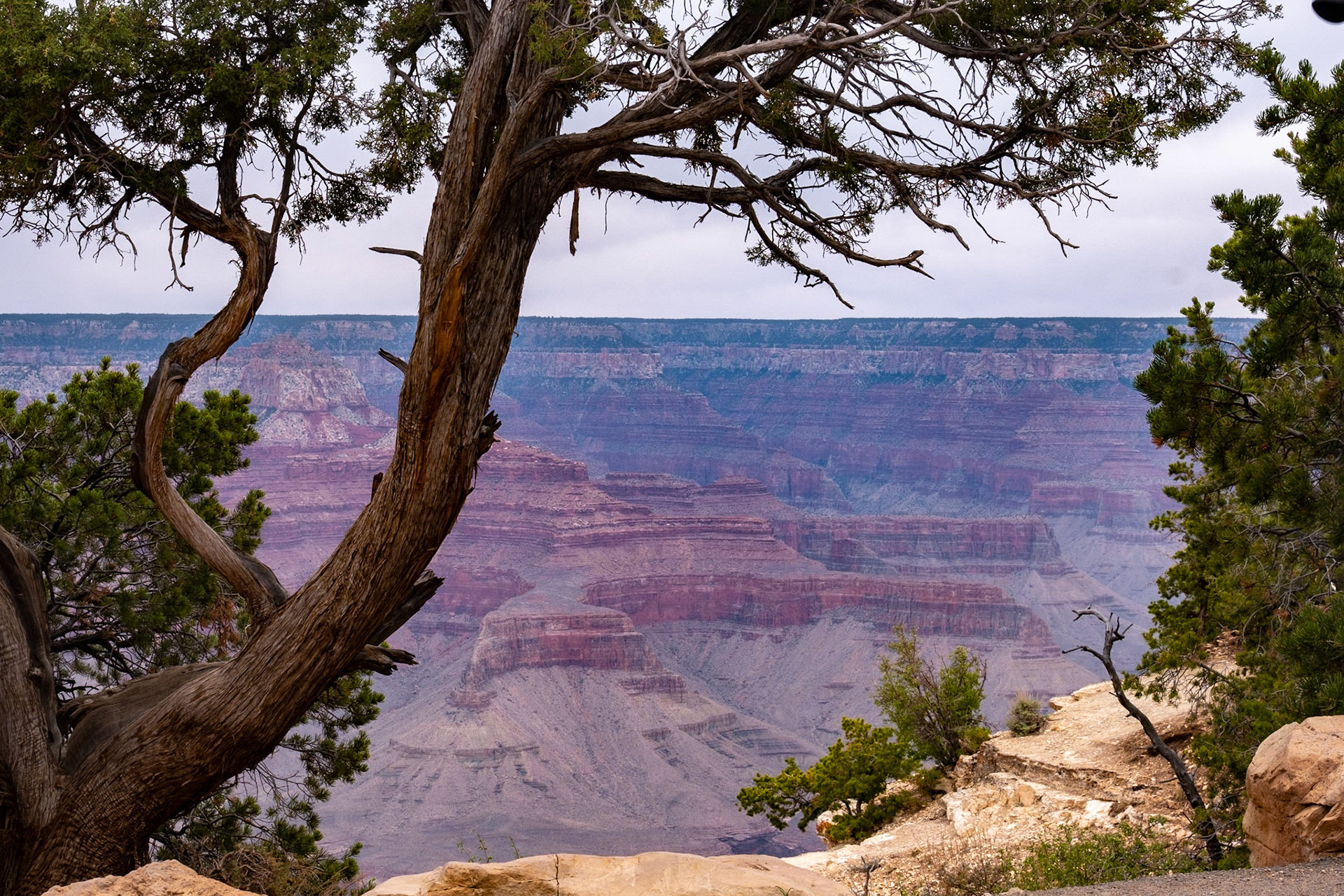 Grand Canyon National Park, Arizona