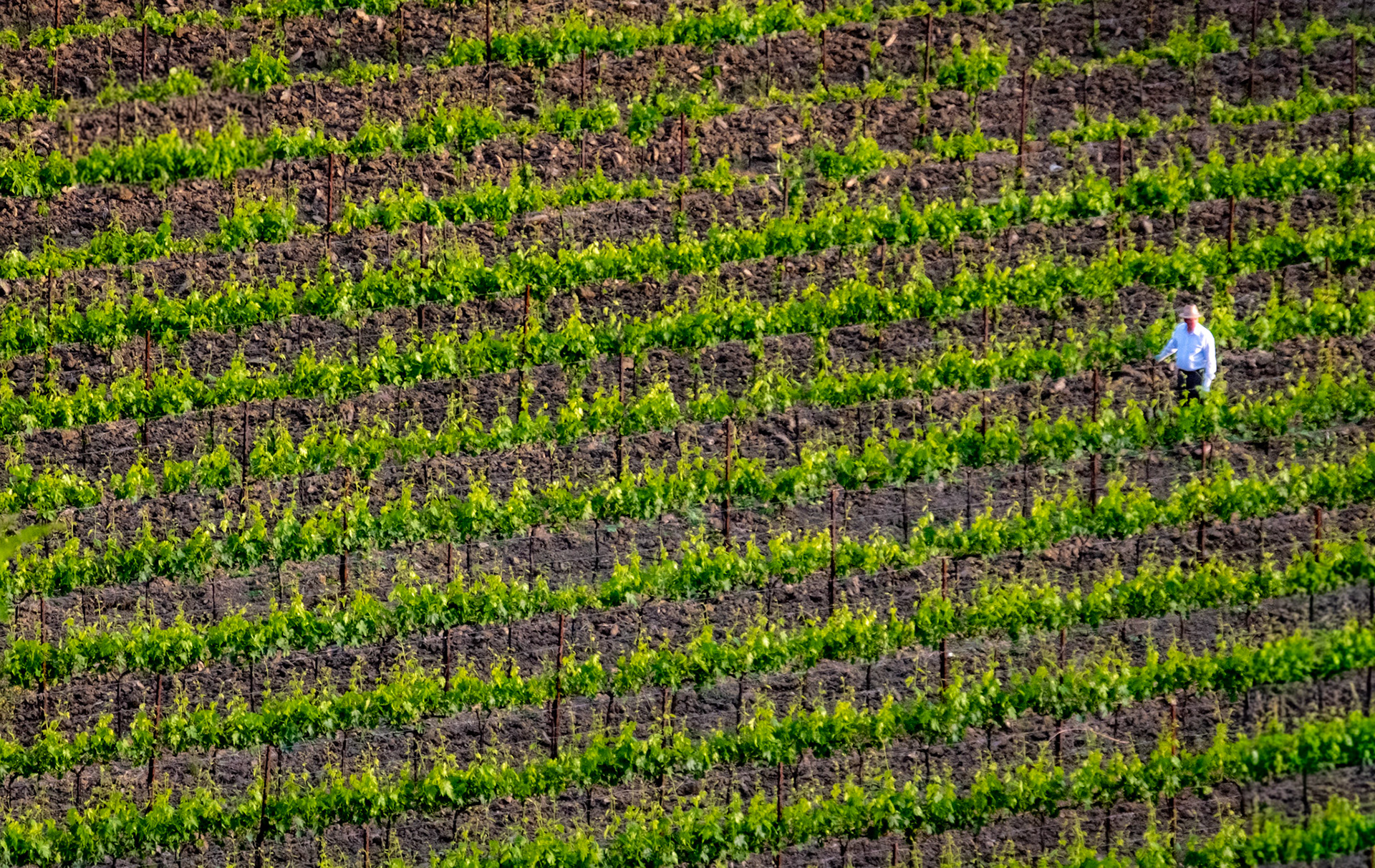Radda-in-Chianti, Italy