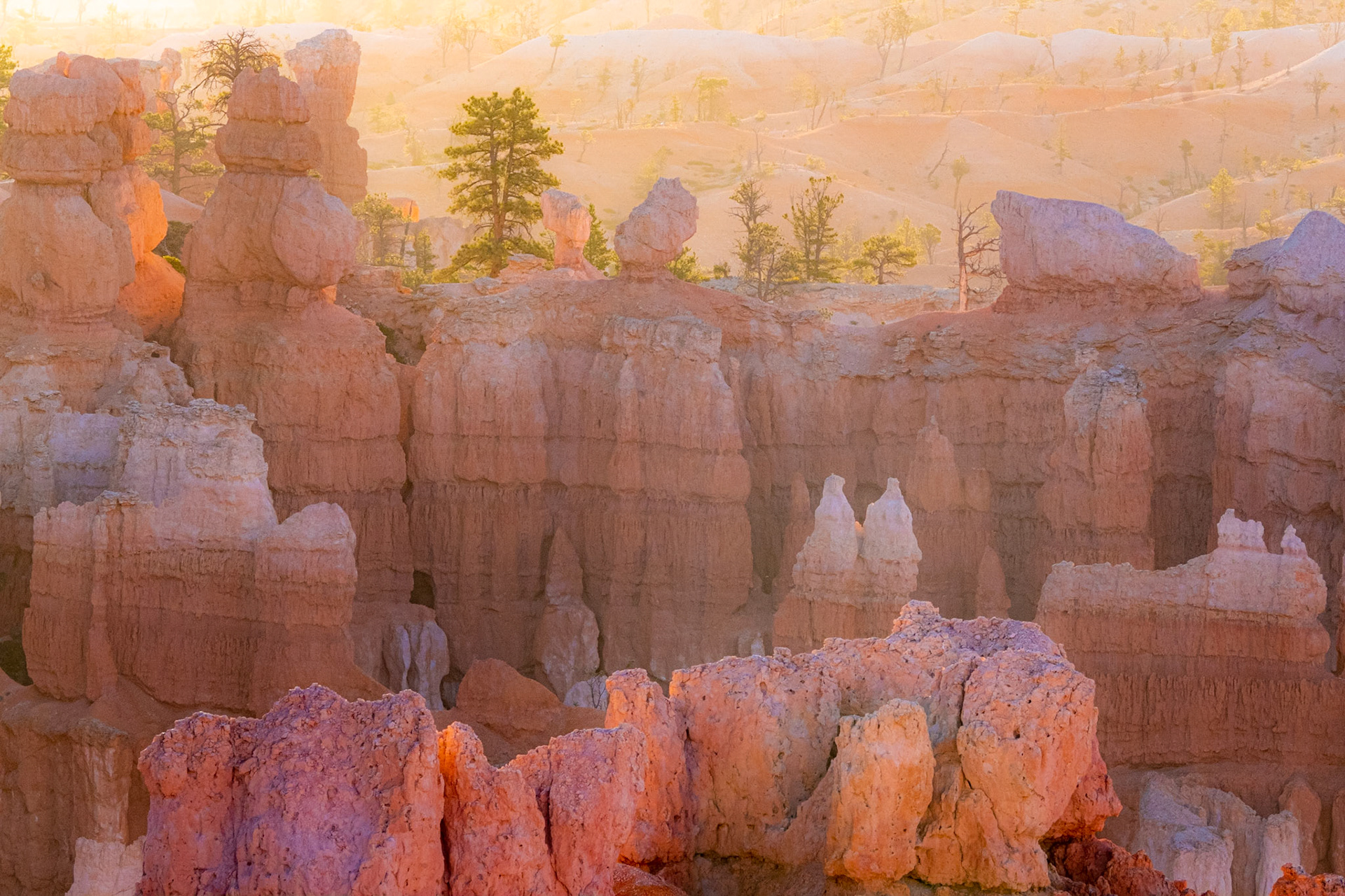 Bryce Canyon National Park, Utah