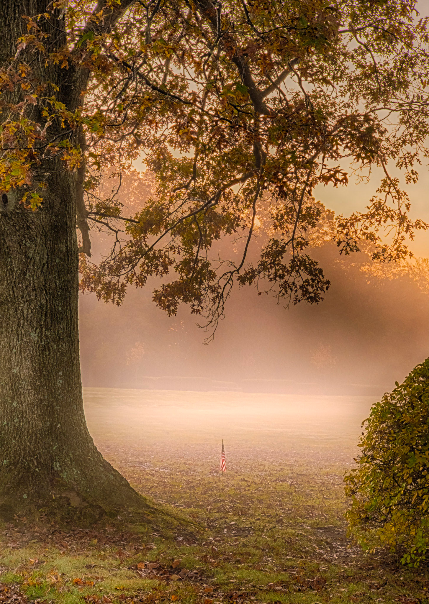 Whitemarsh Memorial Park, Ambler, Pennsylvania