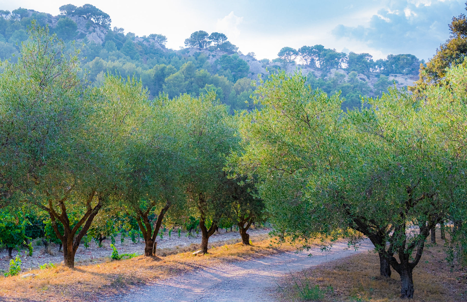 Provence, France