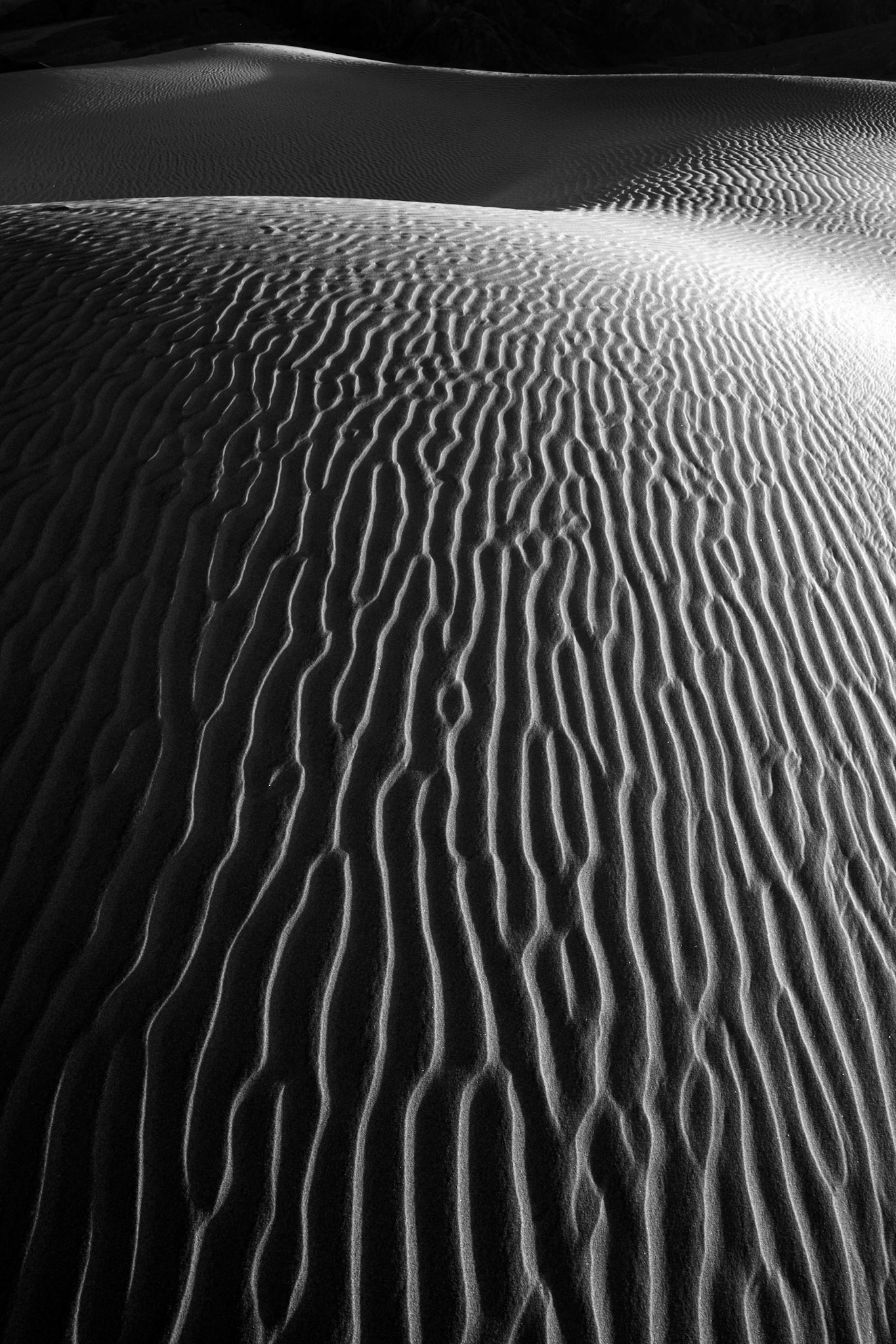 Mesquite Flat Sand Dunes, Death Valley National Park