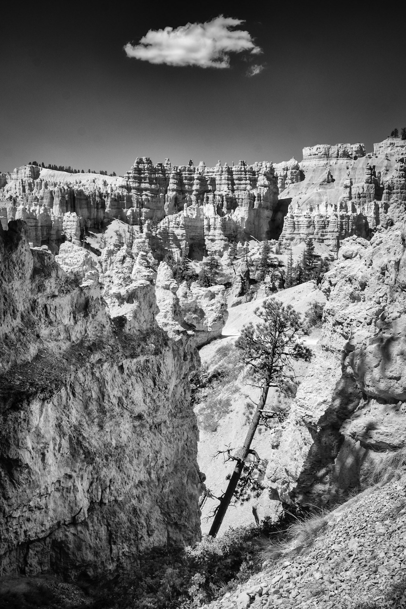 Bryce Canyon National Park, Utah