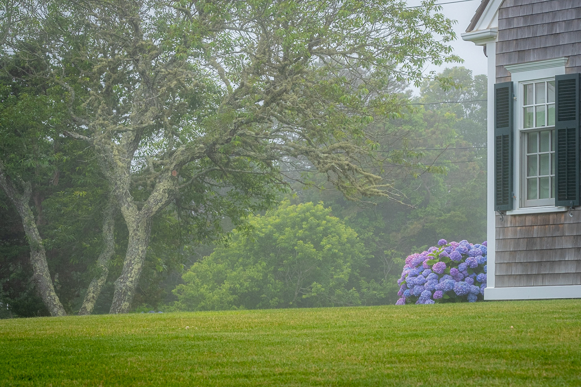 Pochet Neck, Cape Cod, Massachusetts
