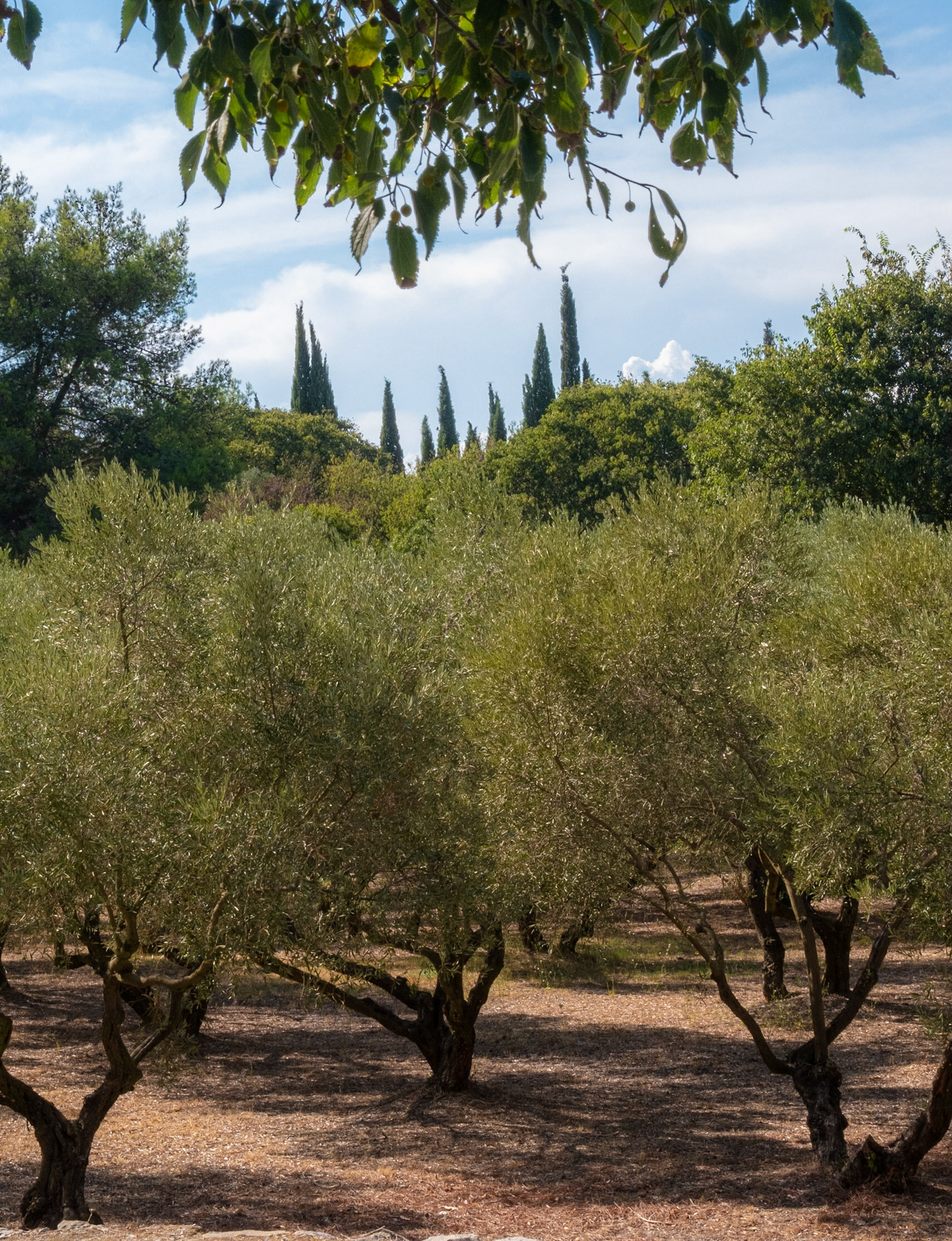 Provence, France