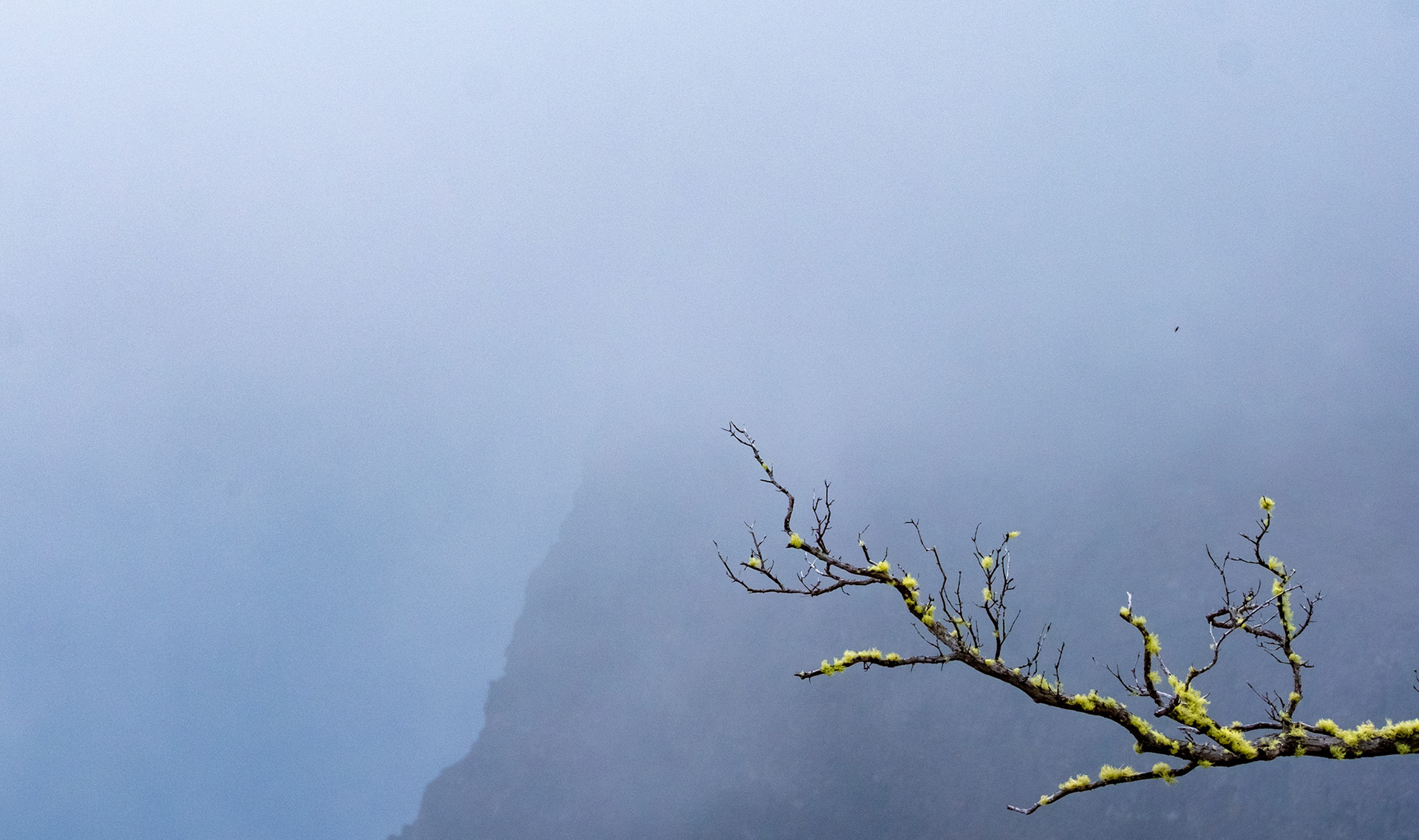 Hawaii Volcanoes National Park, Hawaii