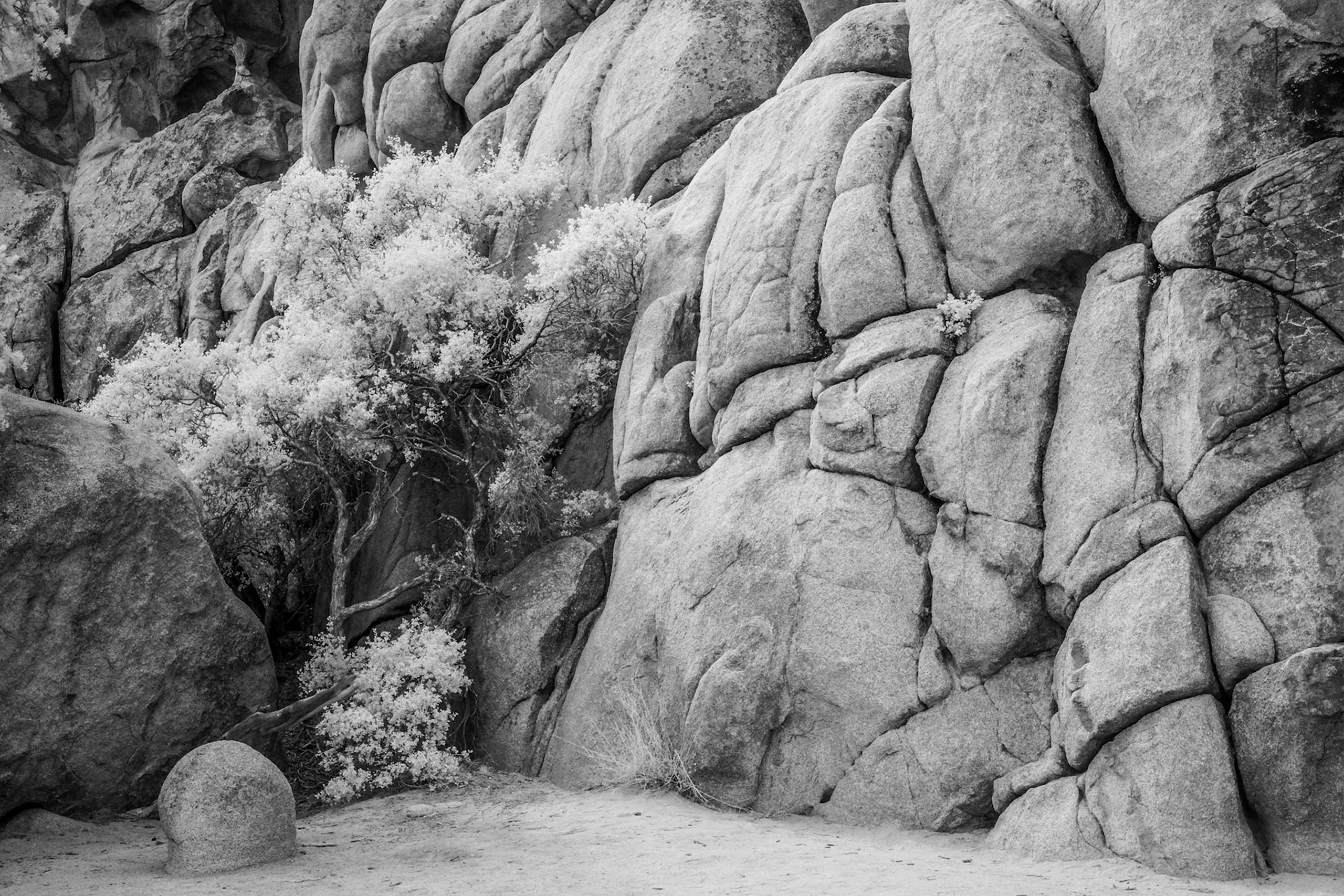 Joshua Tree National Park, California