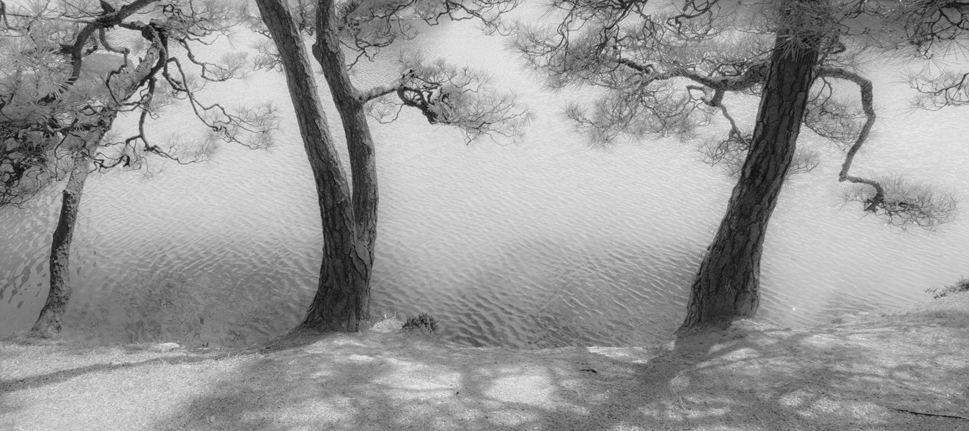 Korakuen Garden, Okayama, Japan