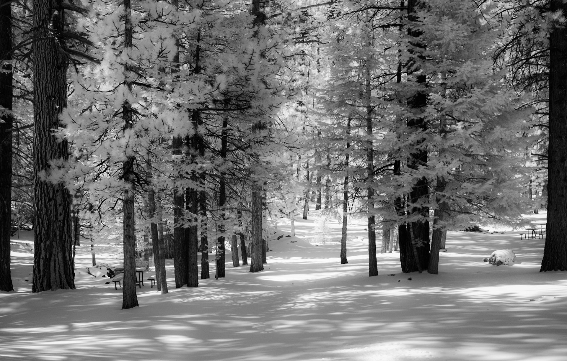 Mount San Jacinto, Palm Springs, California