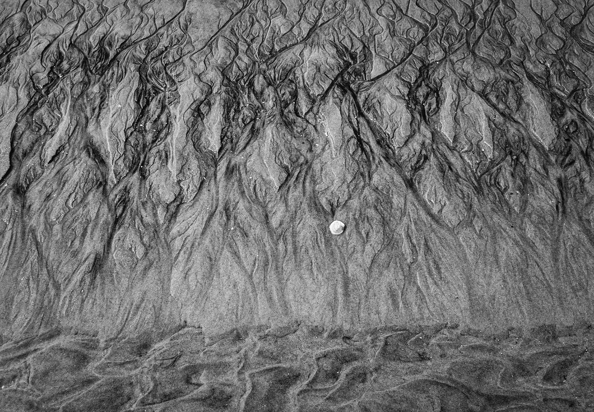 Loveladies, New Jersey